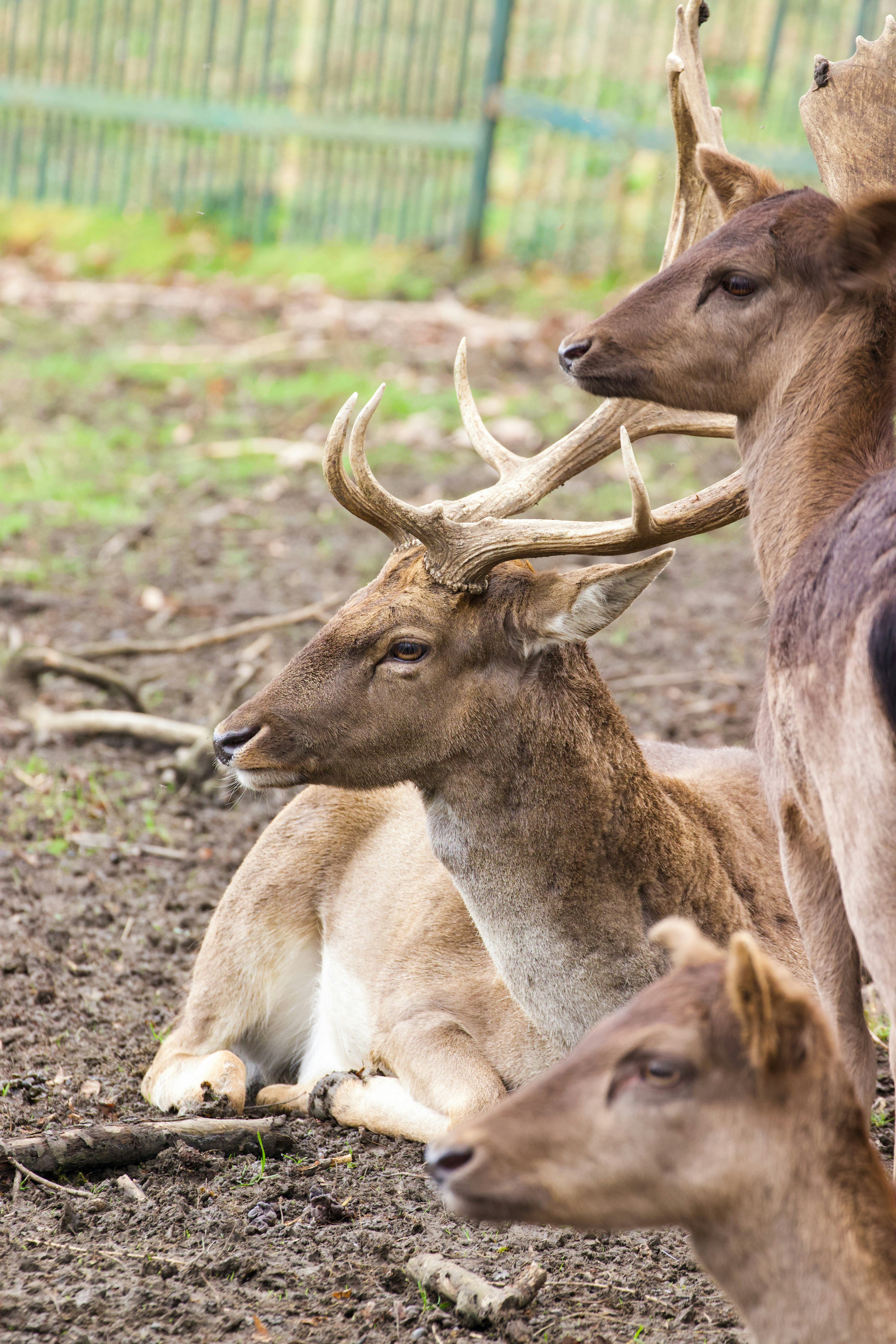 Photo by jakub_neskora