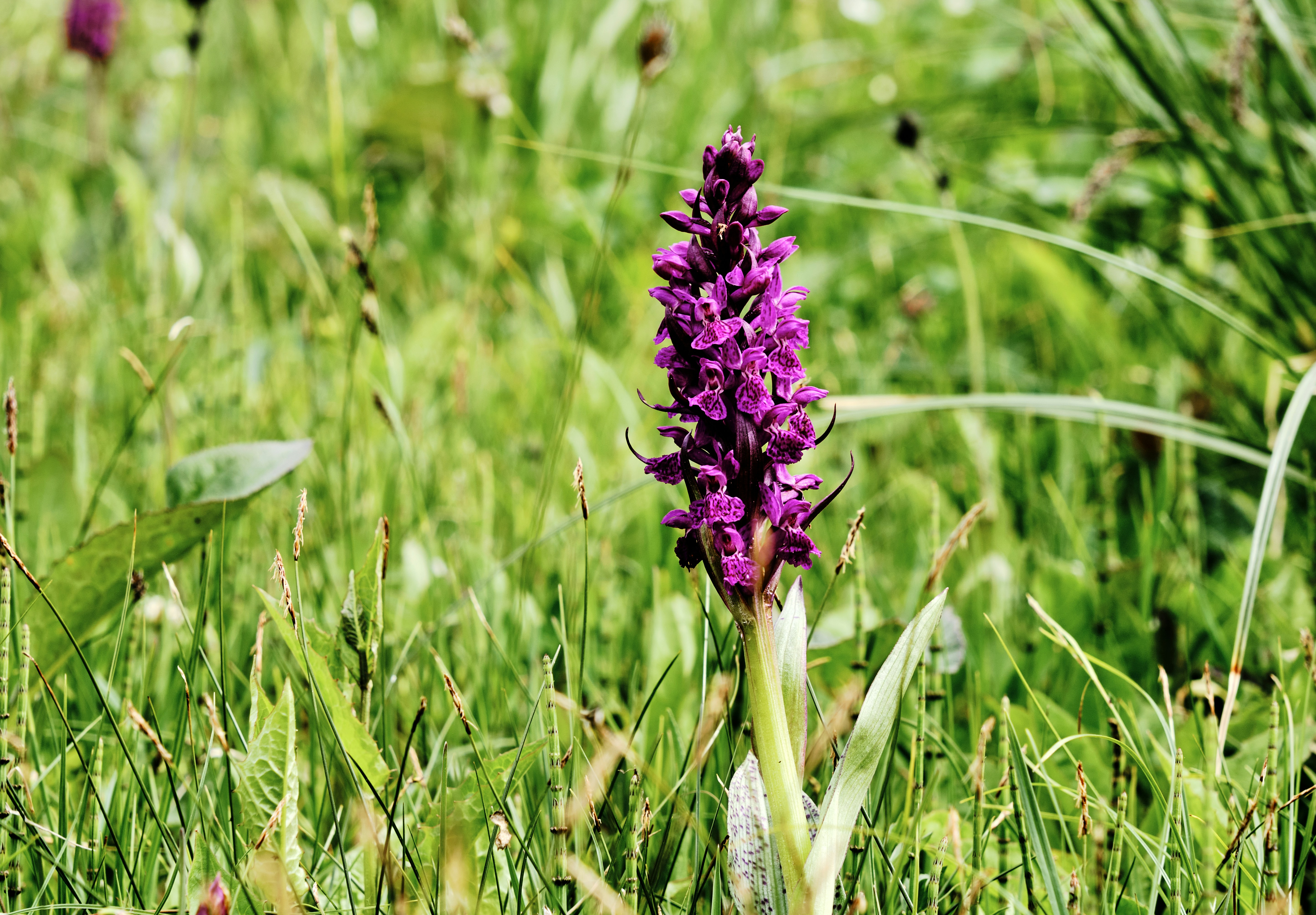 Photo by marcus_ganahl