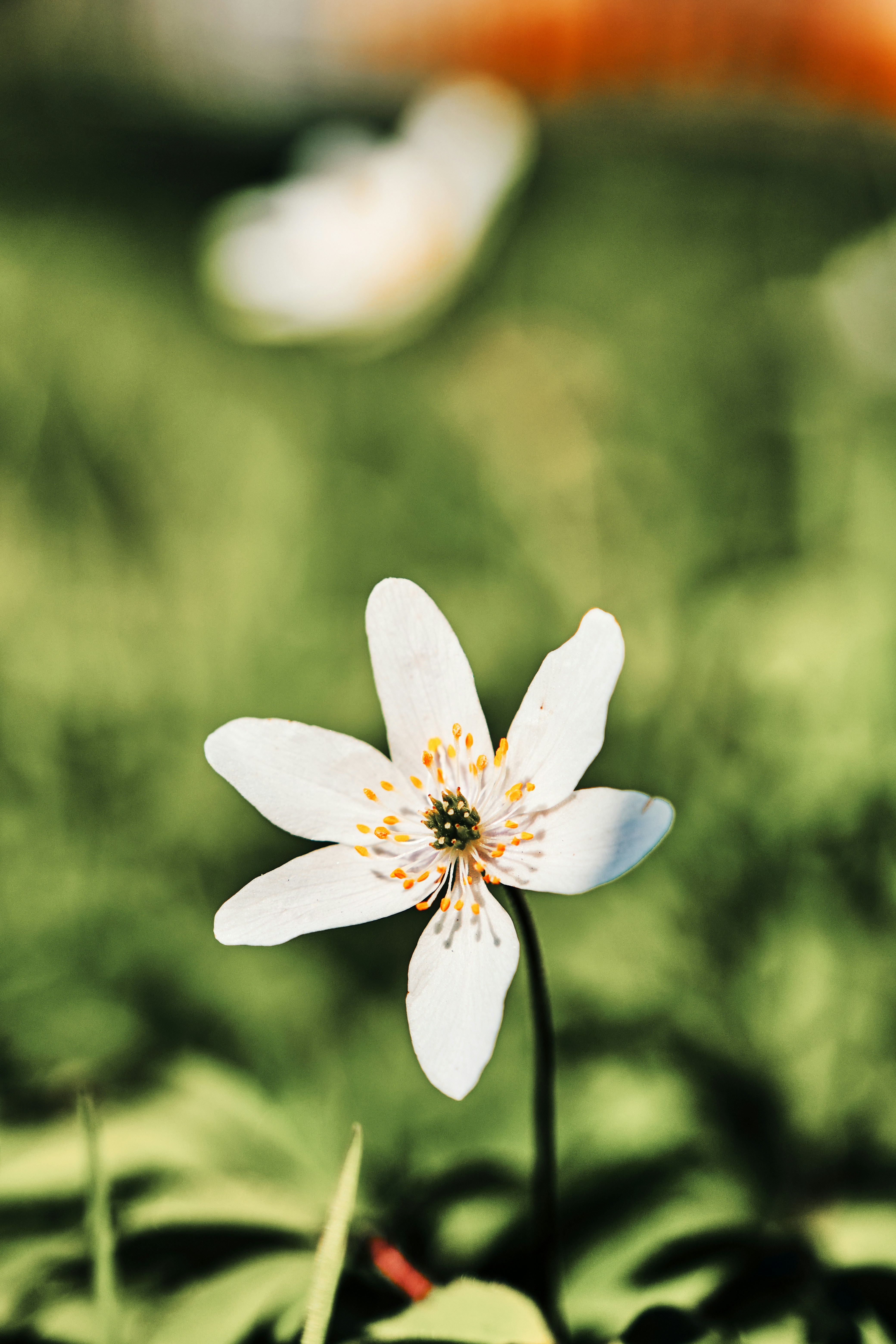 Photo by marcus_ganahl