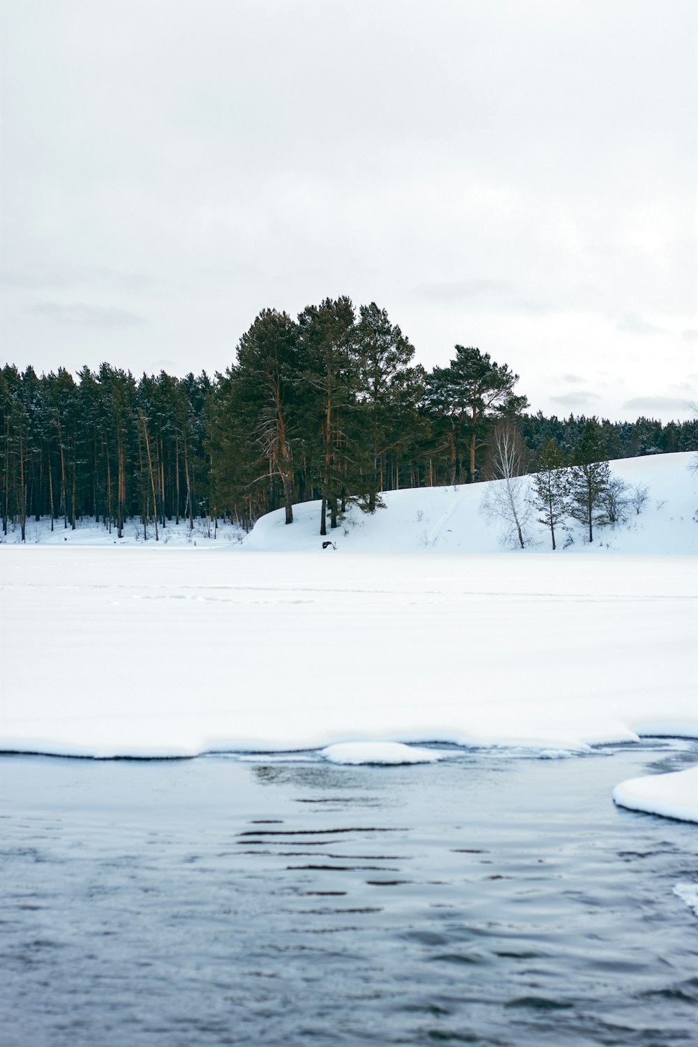 a body of water with trees in the background