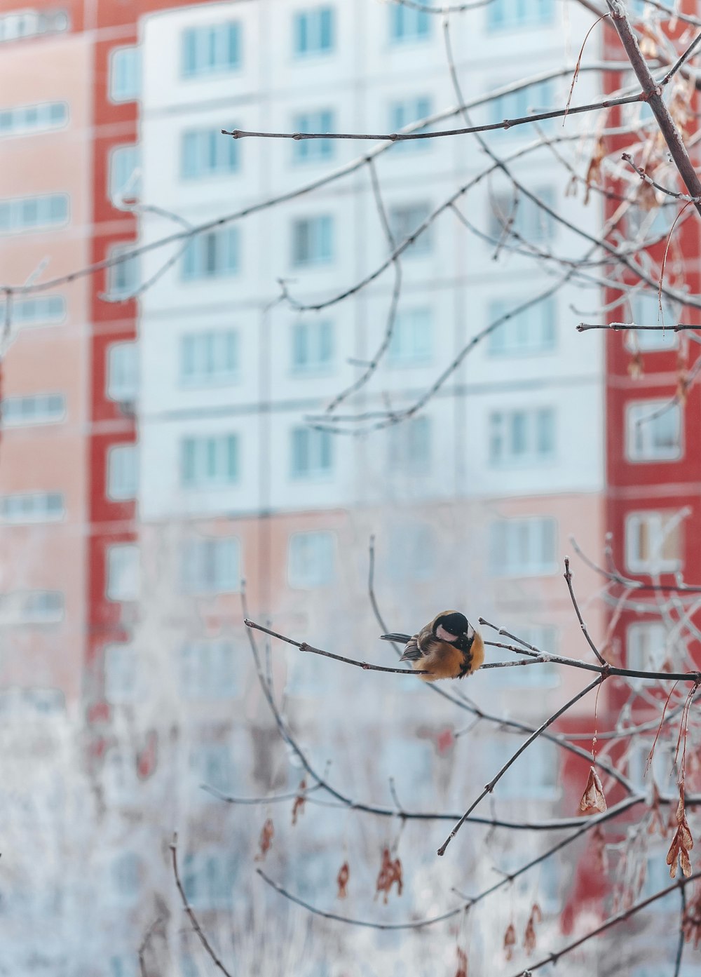 a bird sitting on a branch in front of a building