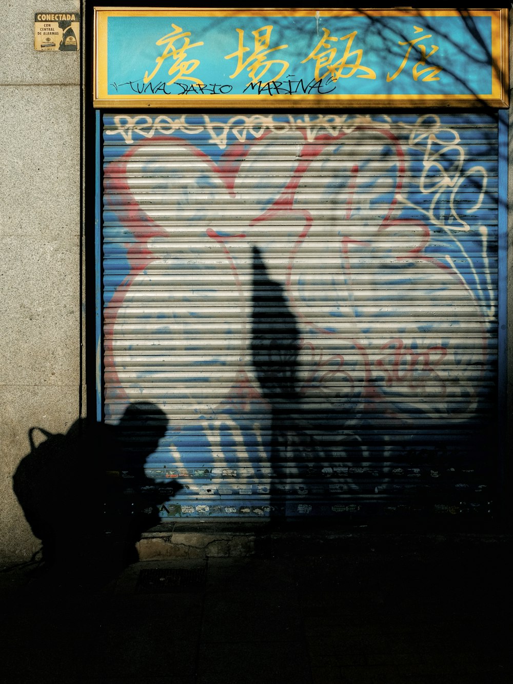 a shadow of a person standing in front of a garage door