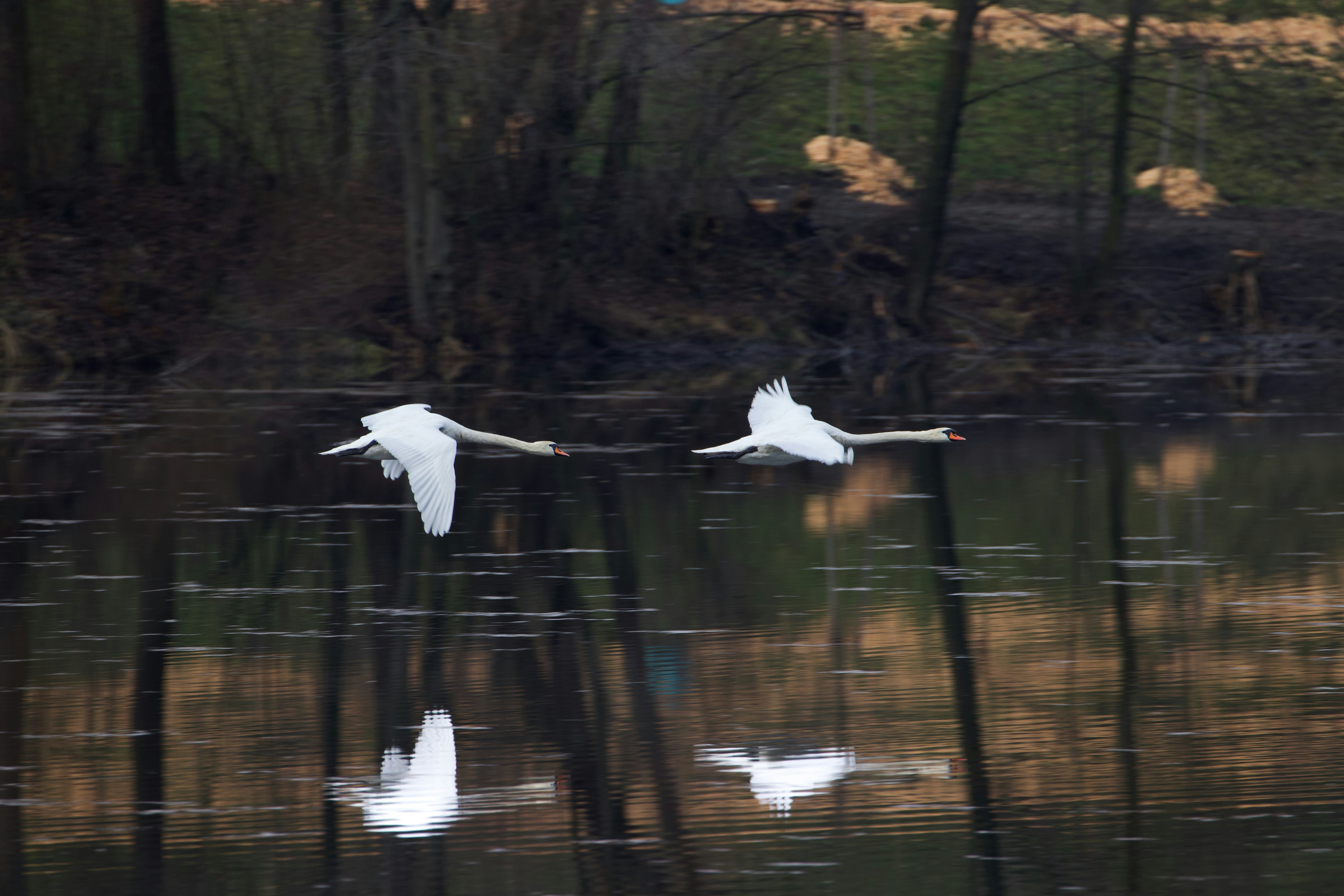 Photo by jakub_neskora