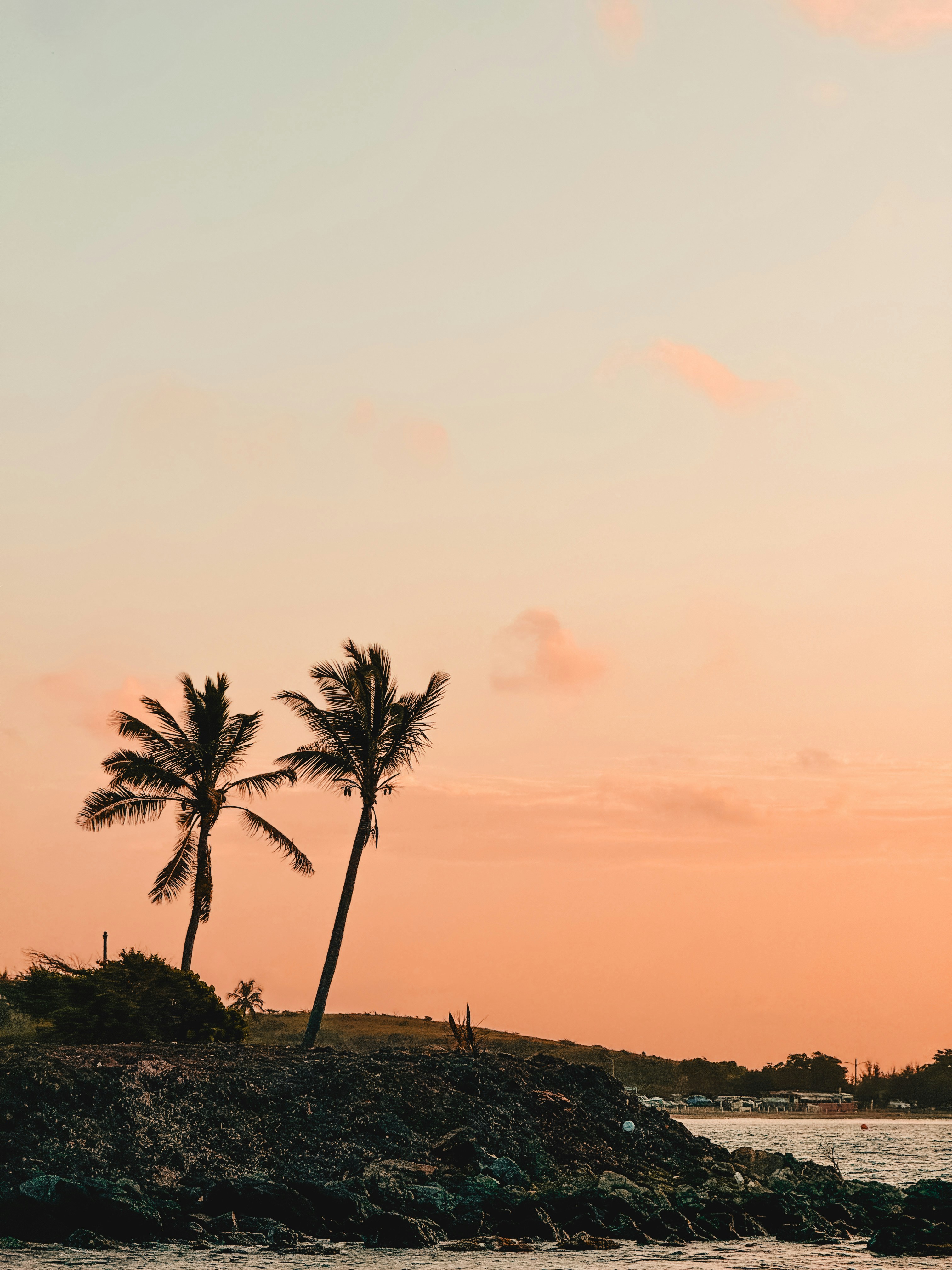 Photo by kwestioning