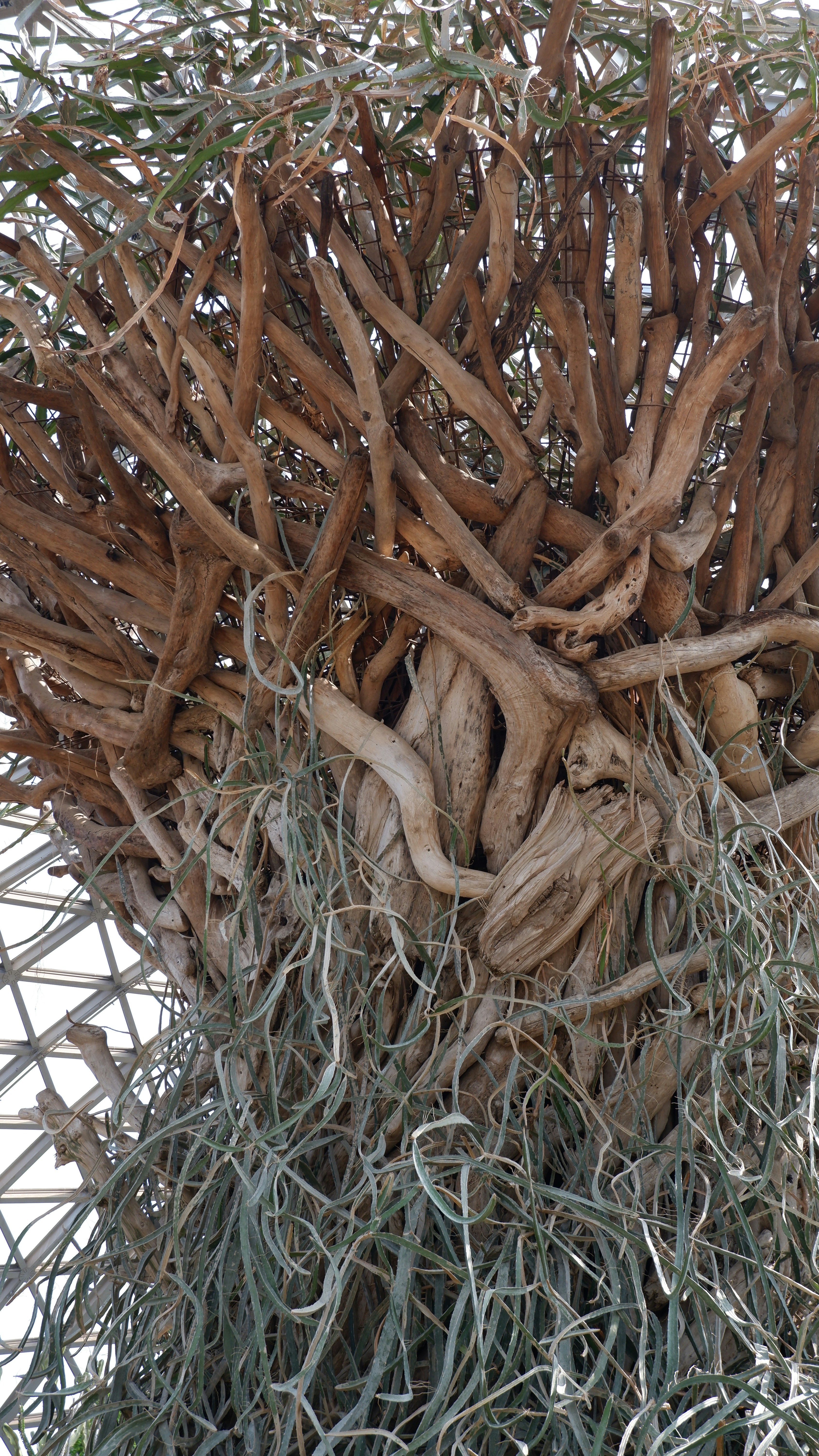 um monte de galhos que foram emaranhados