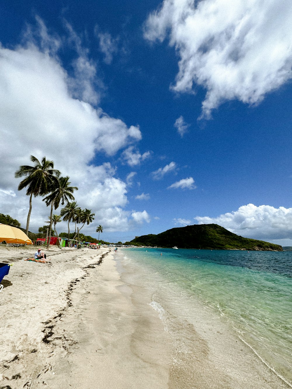 a sandy beach with palm trees and umbrellas