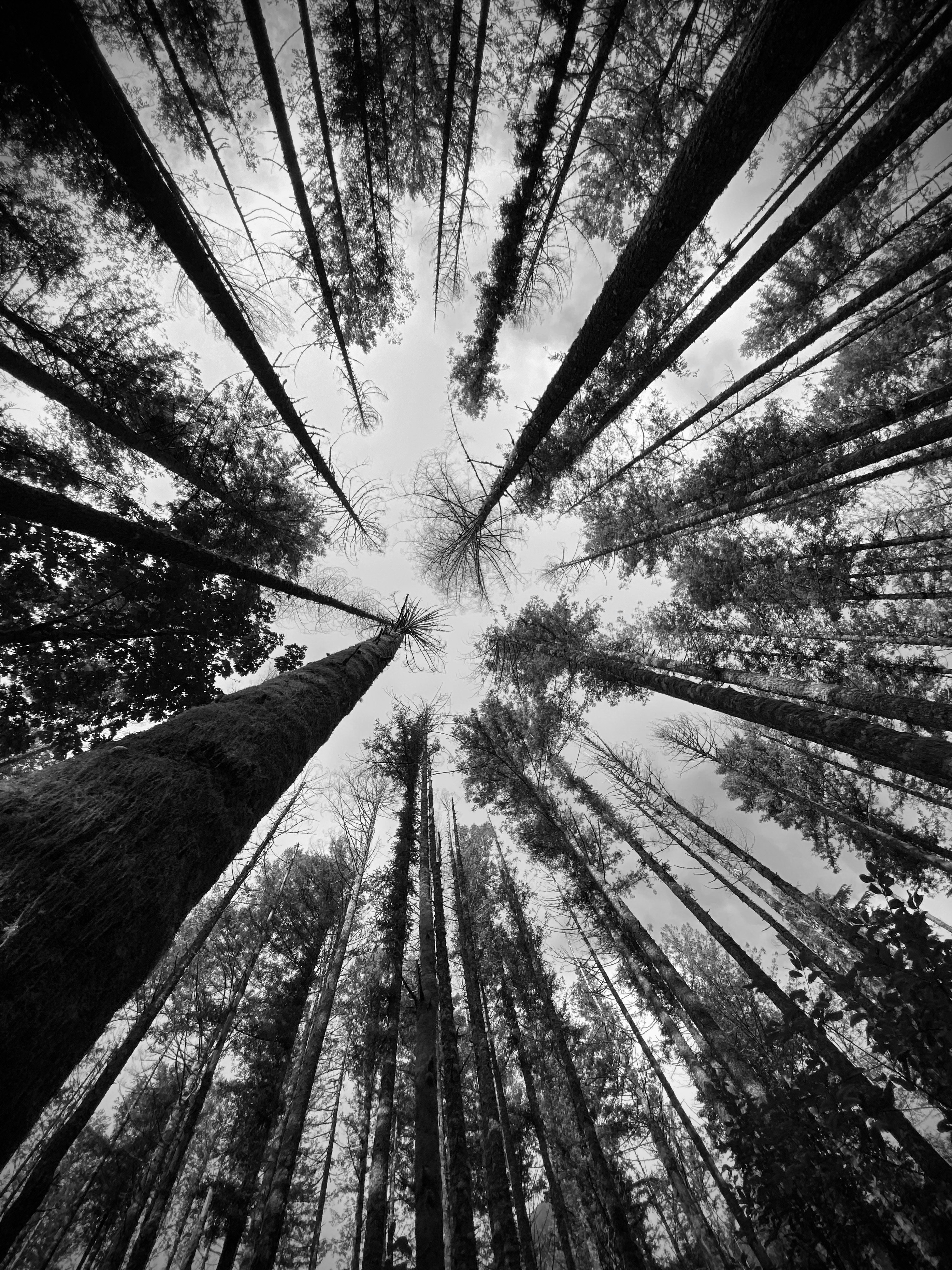 Photo by dali_charles