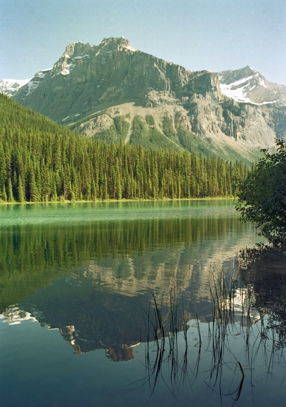 a lake surrounded by a forest with a mountain in the background