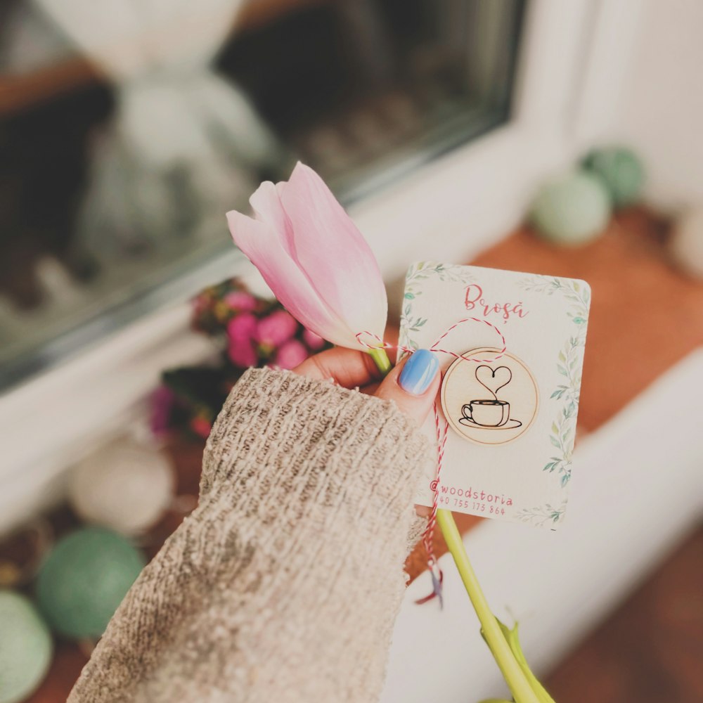 a person holding a pink flower in their hand