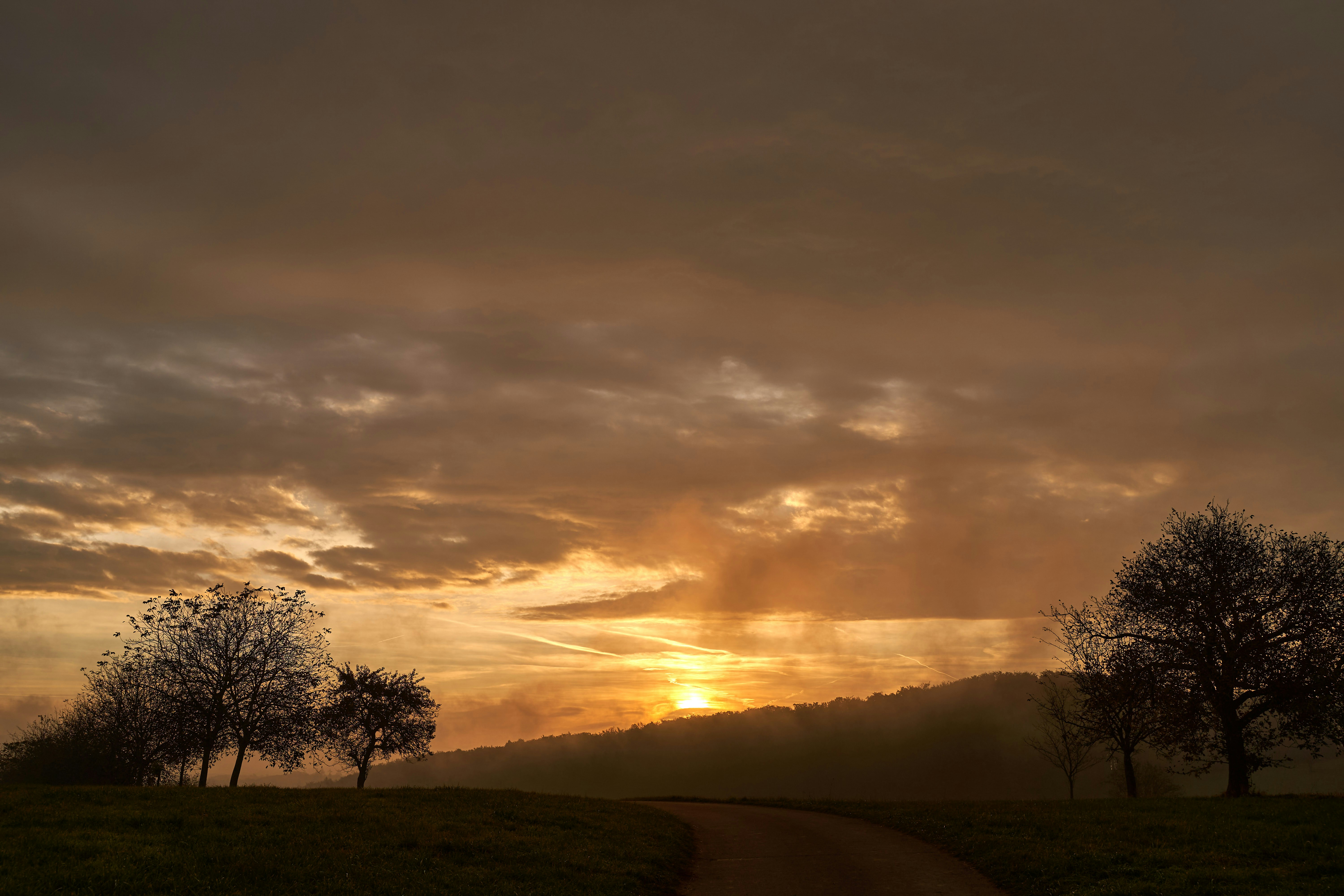 Photo by wolfgang_hasselmann