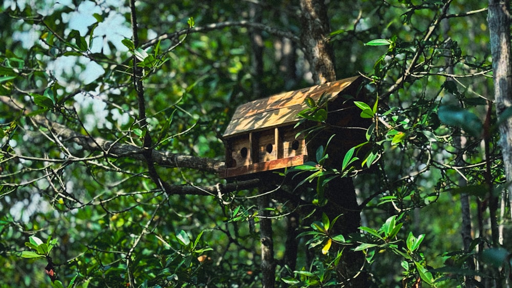 a bird house hanging from a tree in a forest