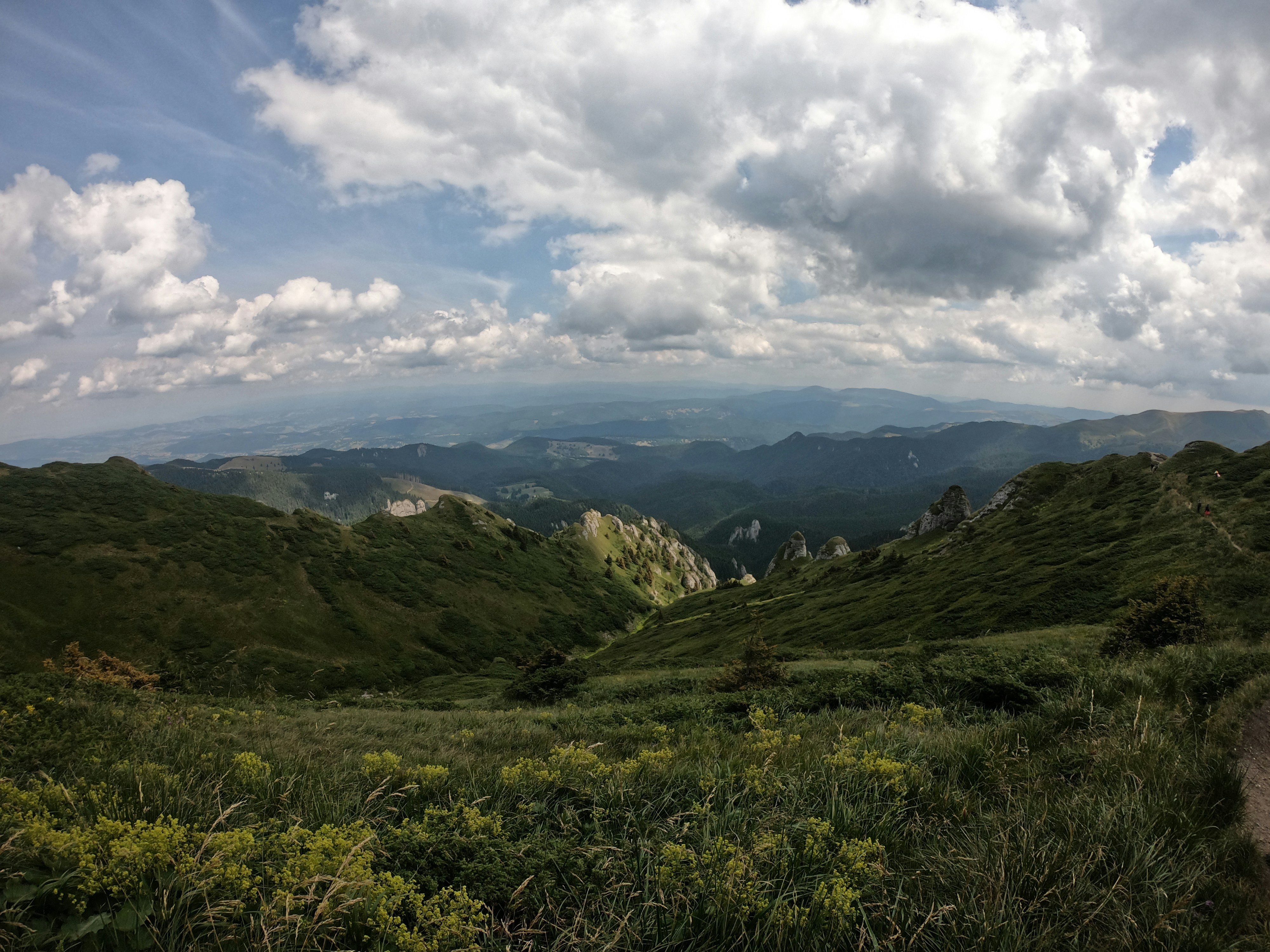 Photo by vladutremus