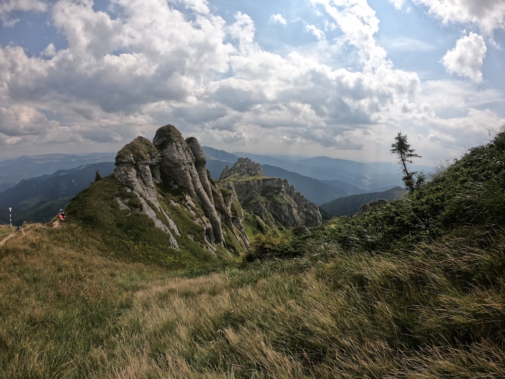 a grassy field with a mountain in the background