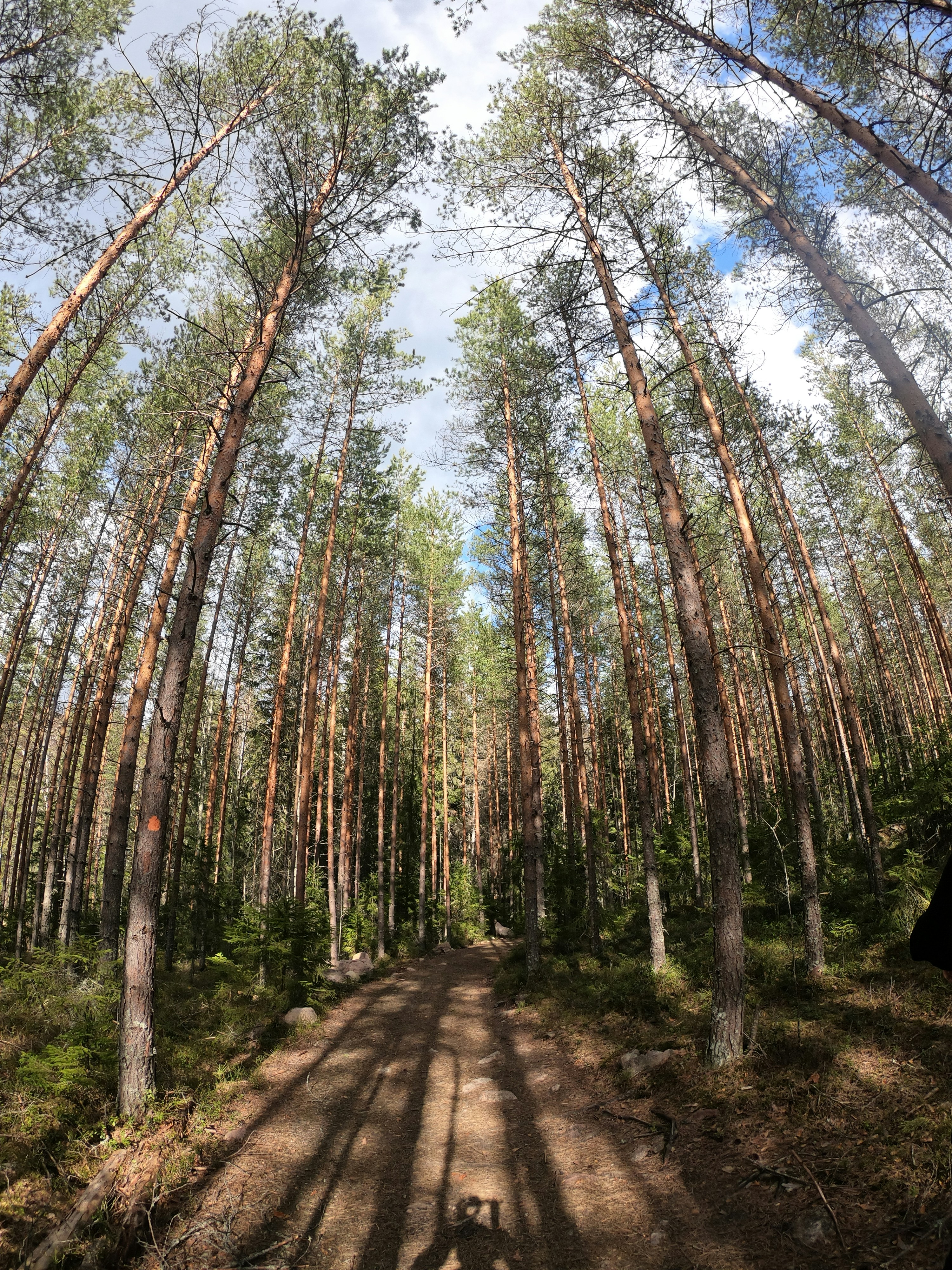 Photo by vladutremus