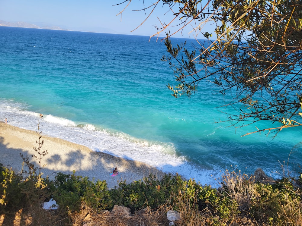 a view of the ocean from a hill