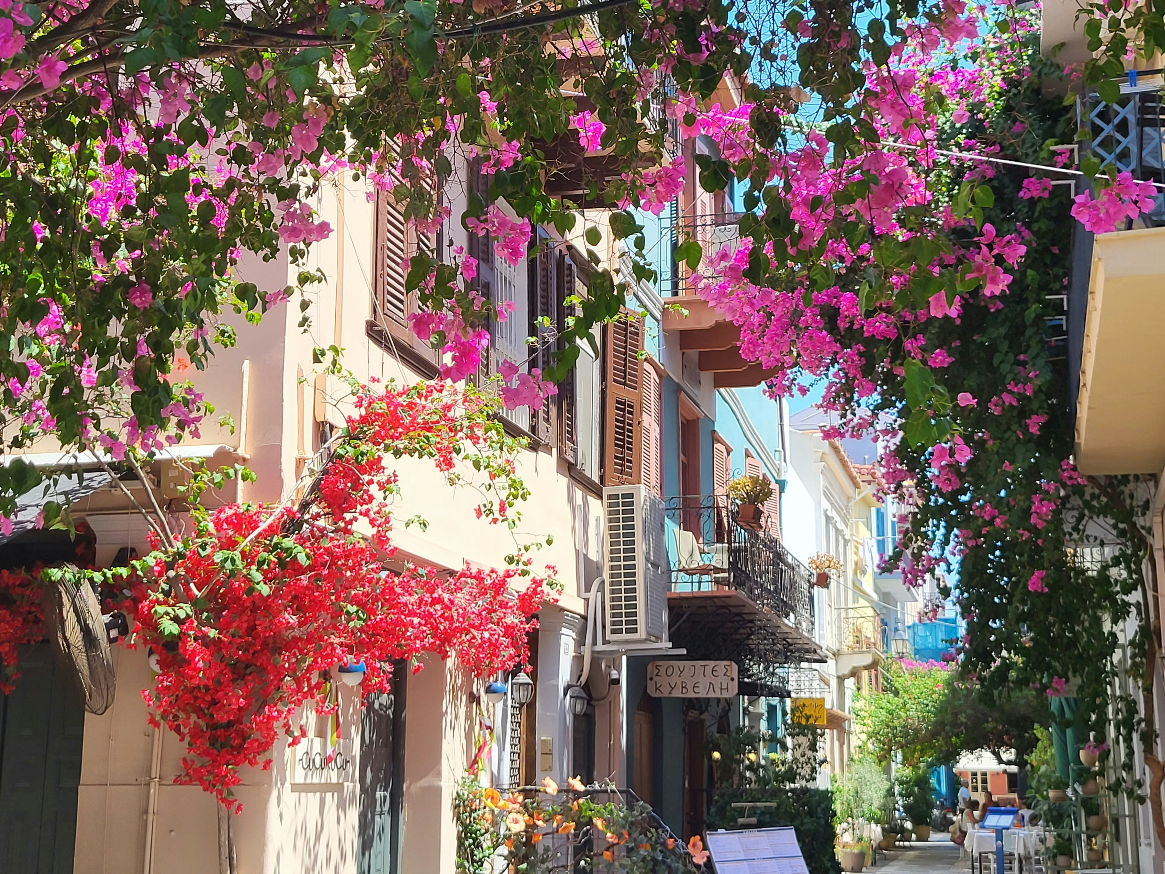 Hotel in city street surrounded by flowers