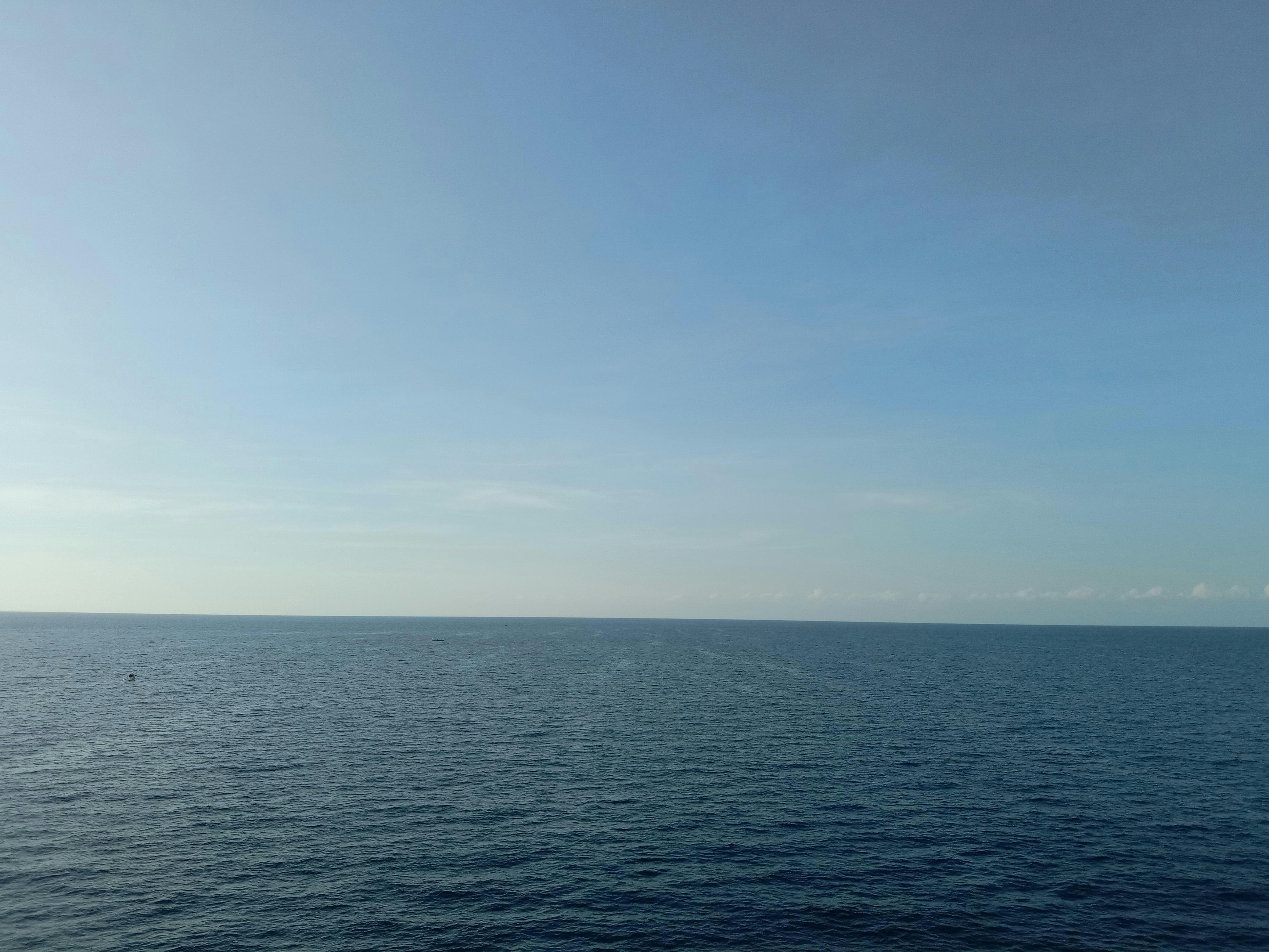 Photo by callmerod792