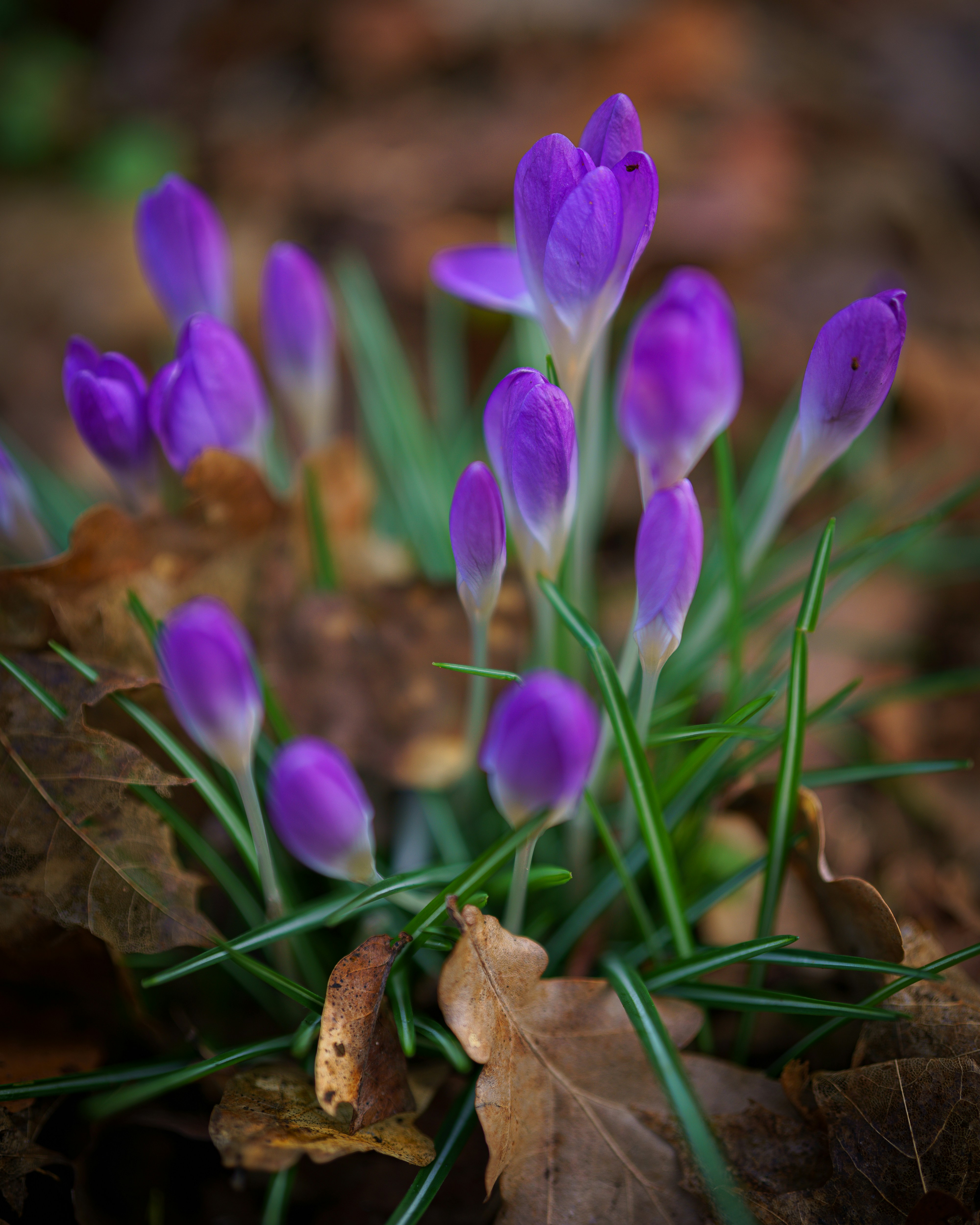 Photo by bangscreative