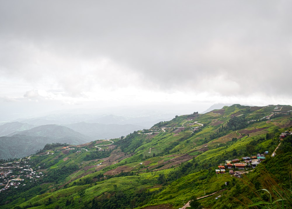 a lush green hillside covered in lots of trees