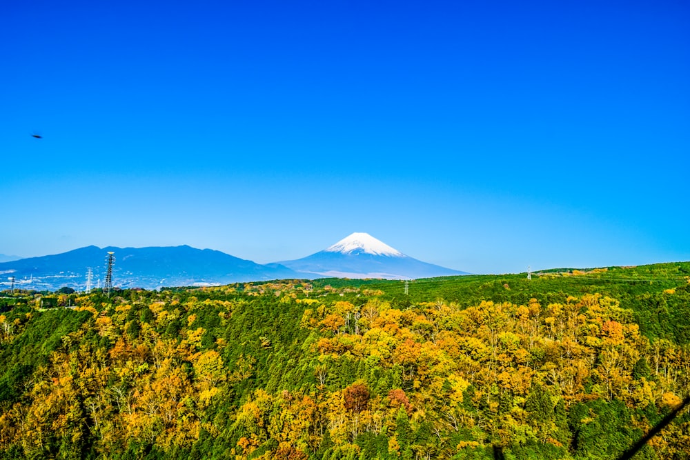 a view of a mountain with trees in the foreground