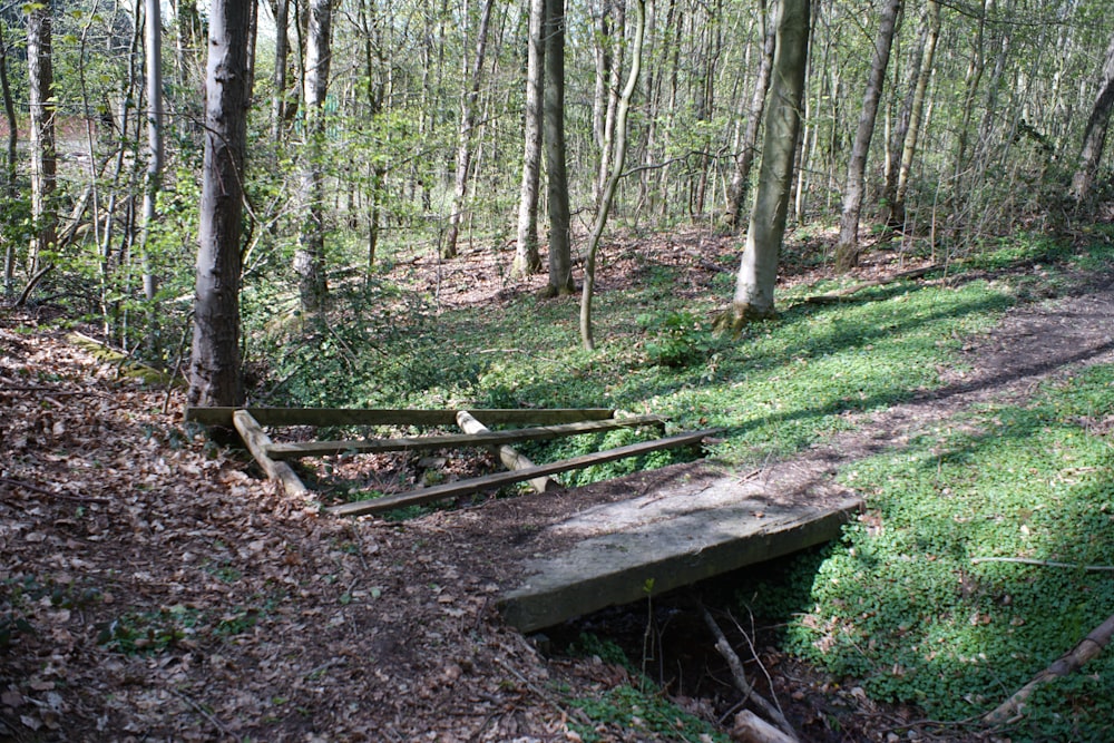 a wooden bench sitting in the middle of a forest