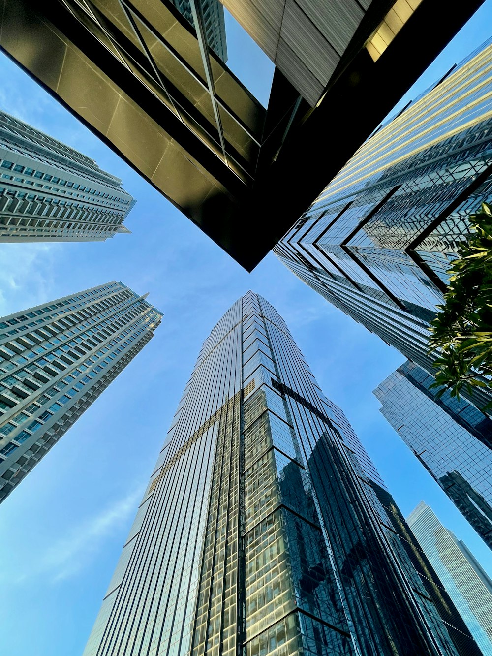 a group of tall buildings towering over a city