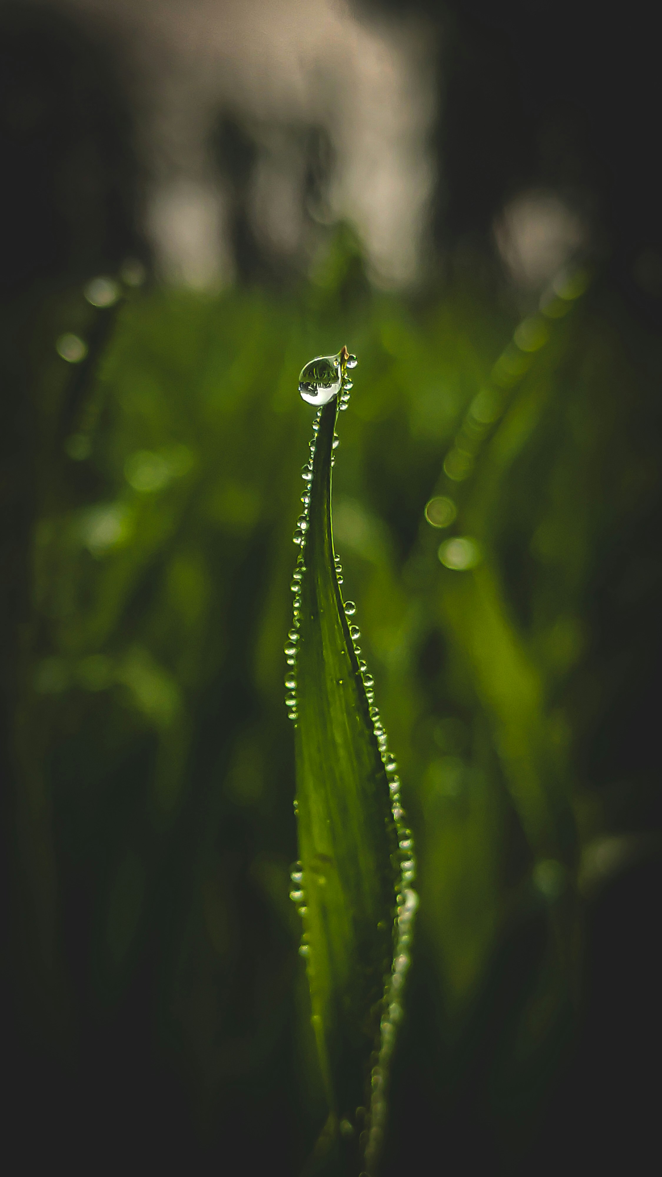 Photo by amanmaurya_117