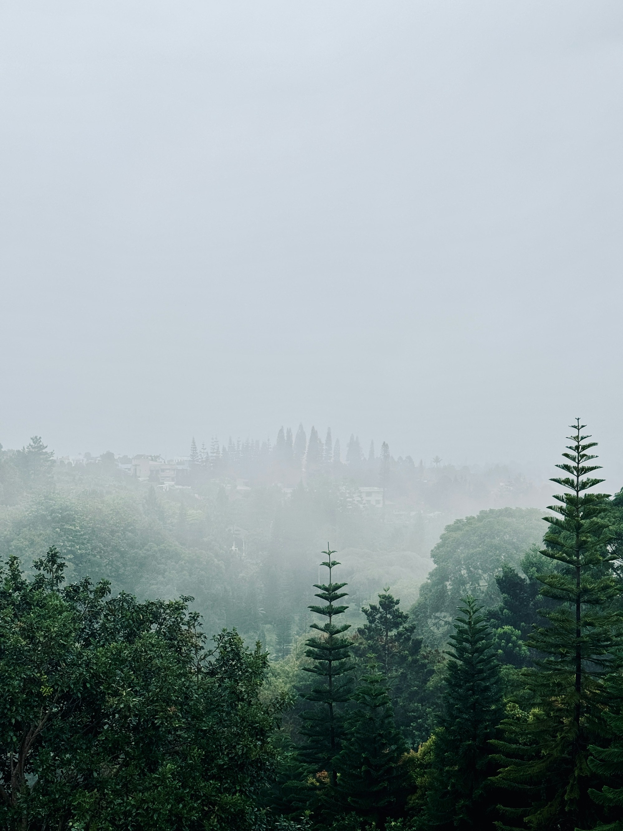Best Time to Visit Puncak Jaya: Weather, Seasons & Months
