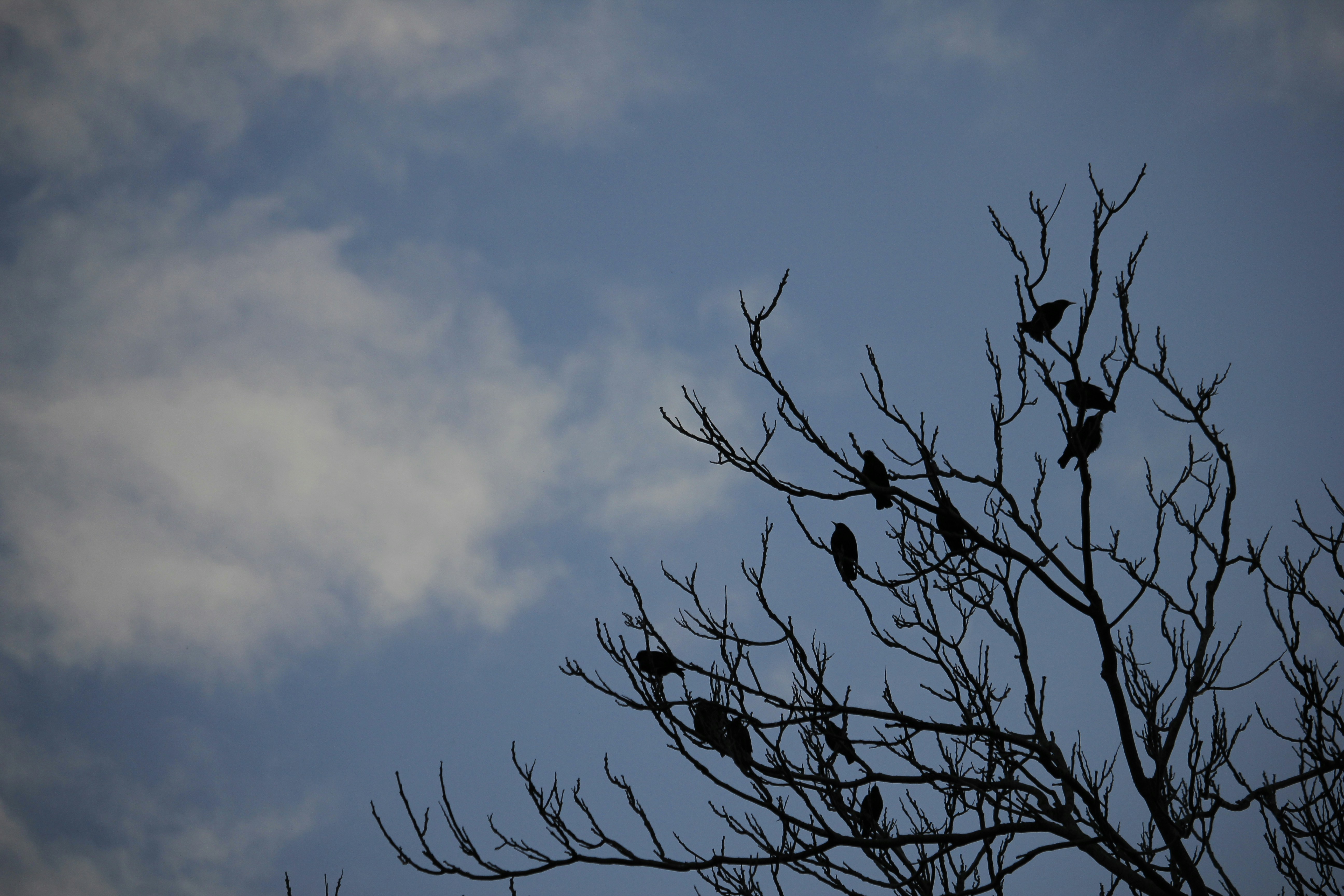 Caceres – Budgeting & Cost Expectations