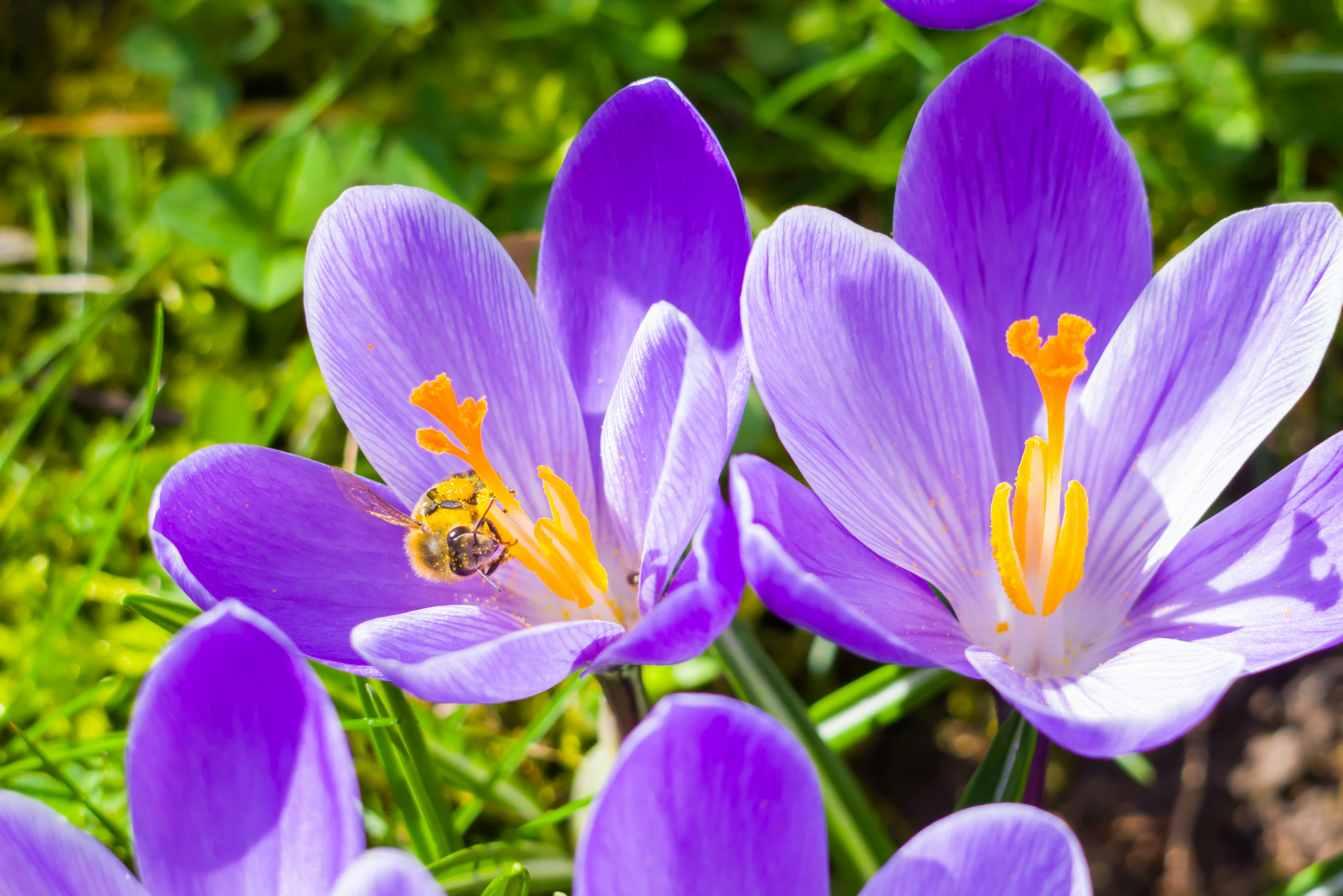 Photo by georgeiermann