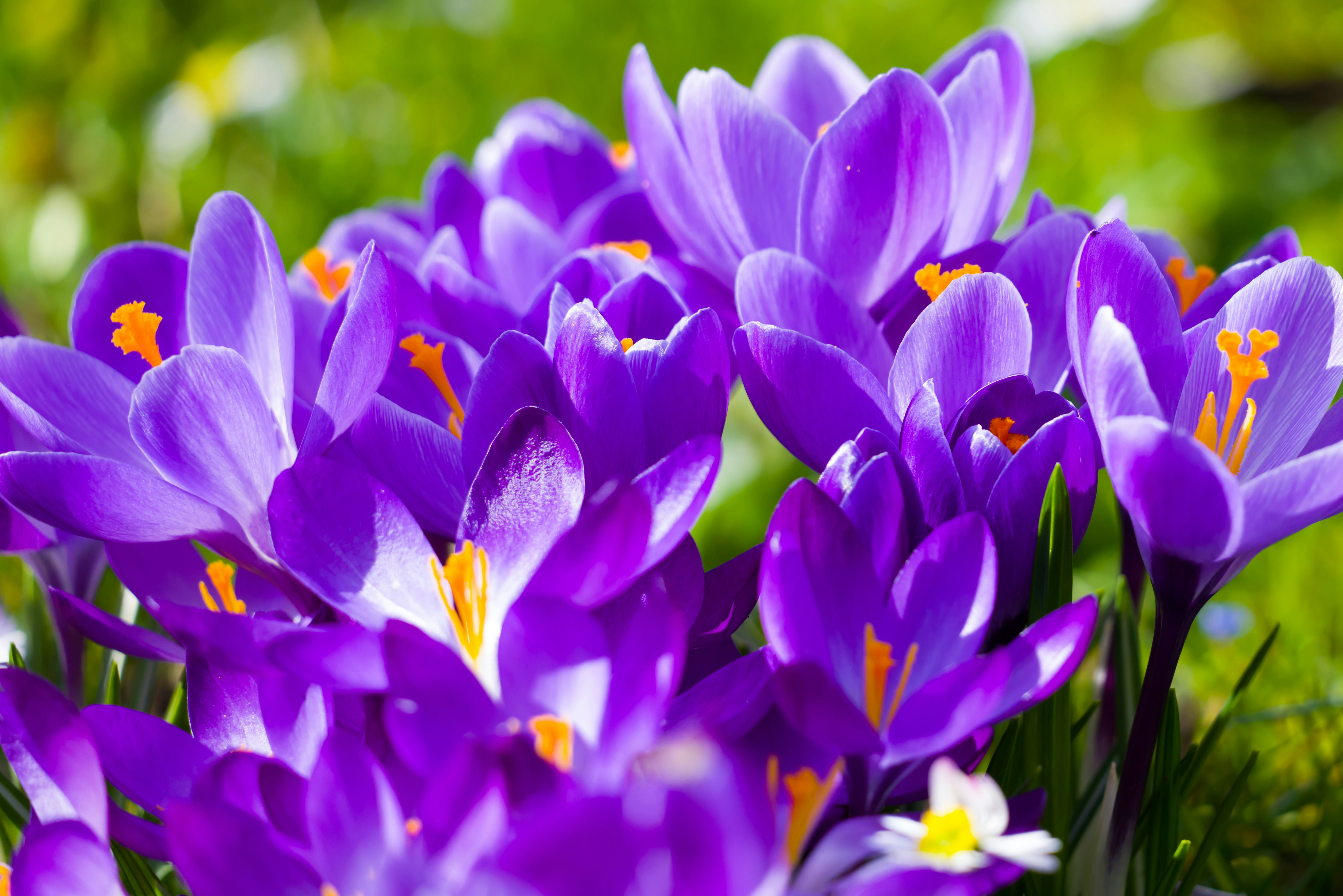 Photo by georgeiermann