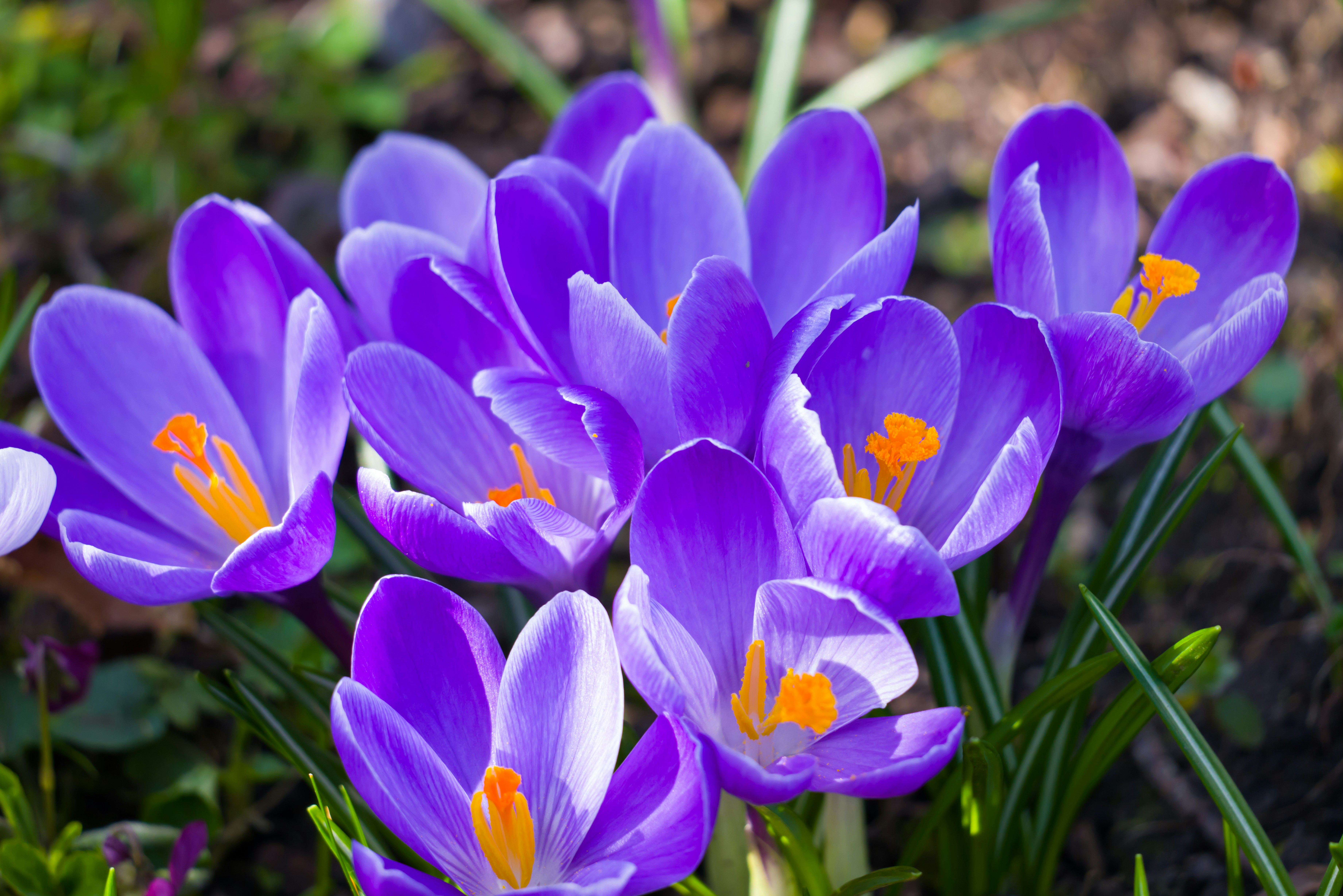 Photo by georgeiermann