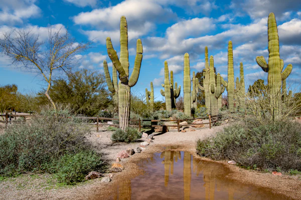 A view of Gilbert, AZ