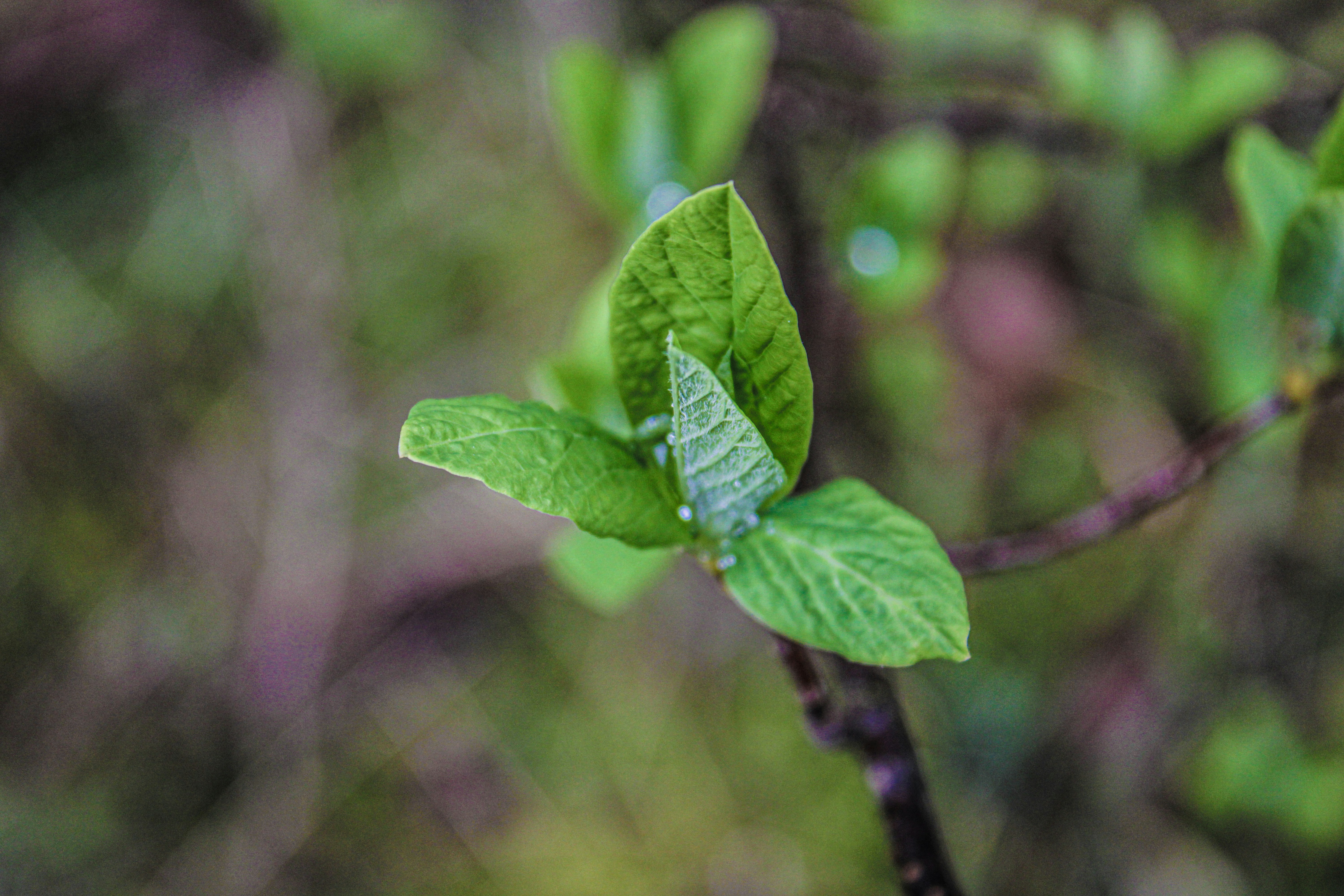 Photo by prphotography262