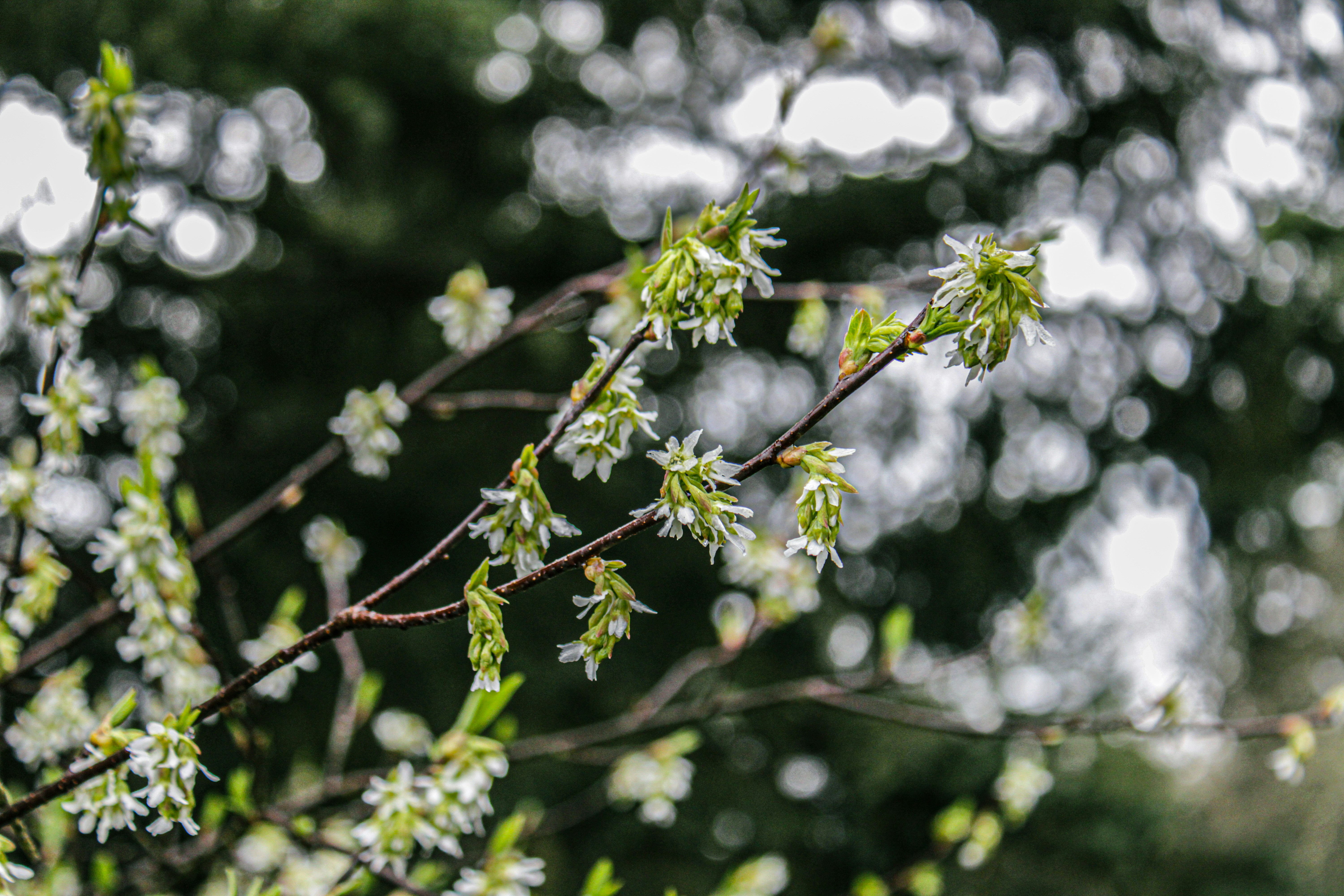 Photo by prphotography262