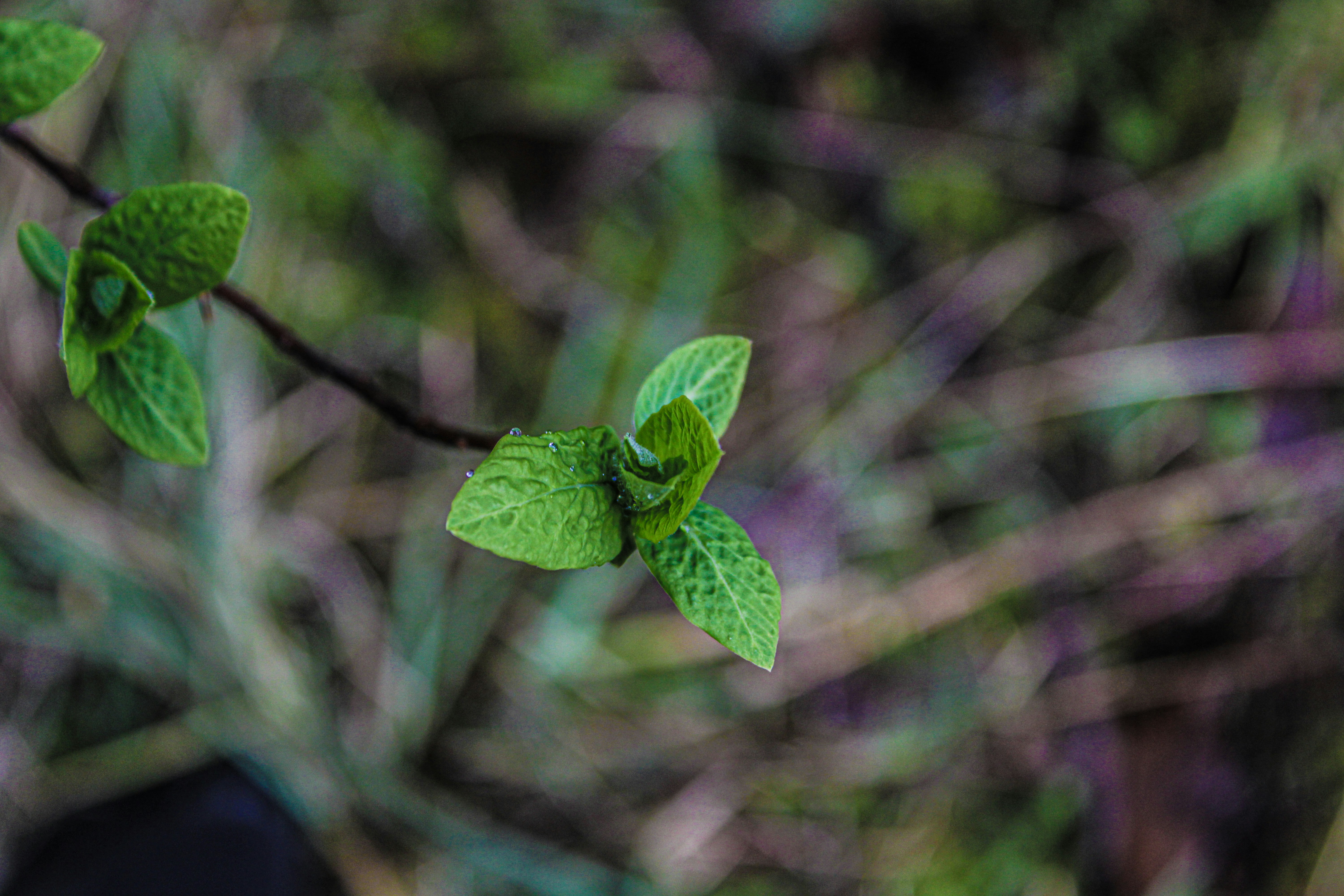 Photo by prphotography262