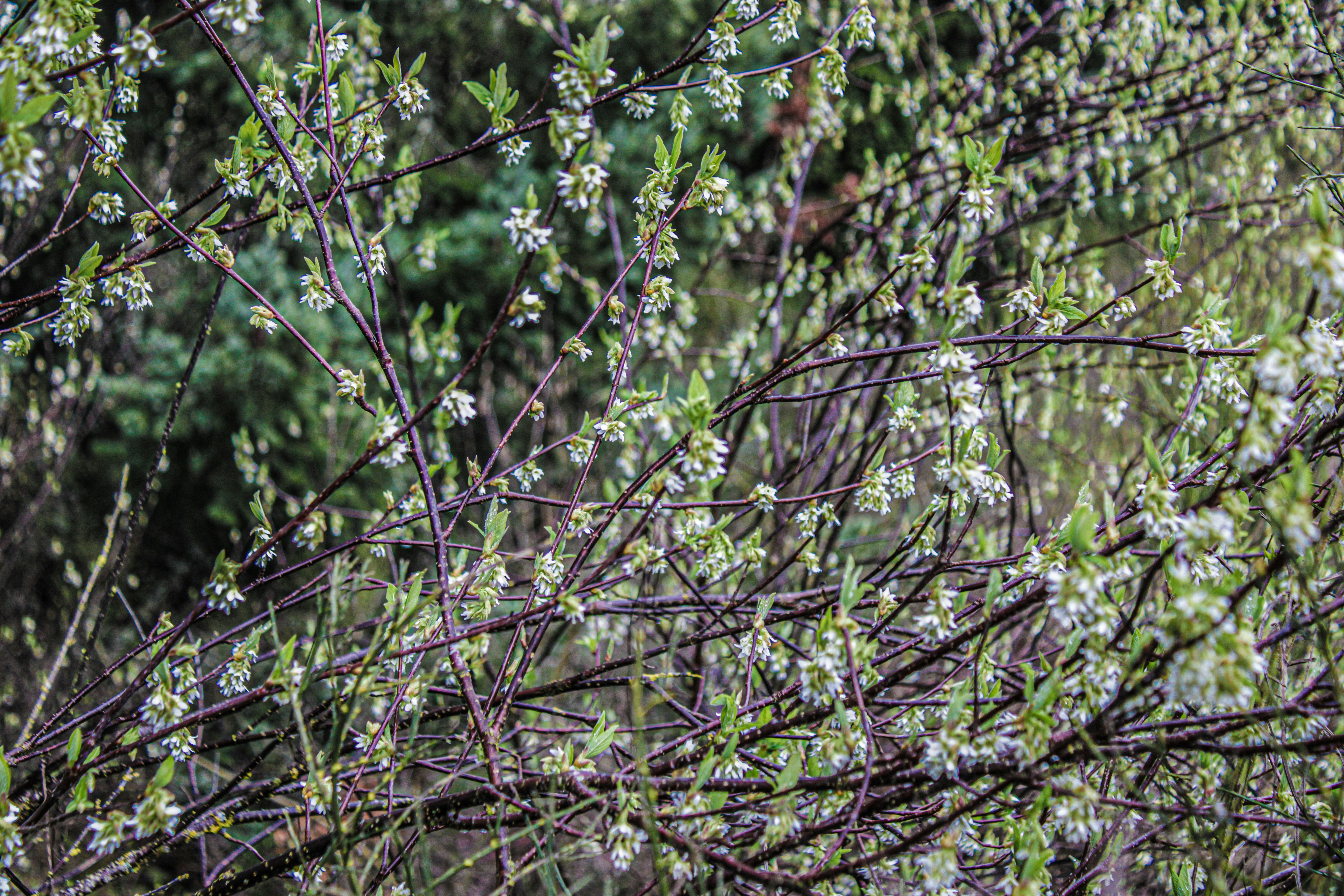 Photo by prphotography262