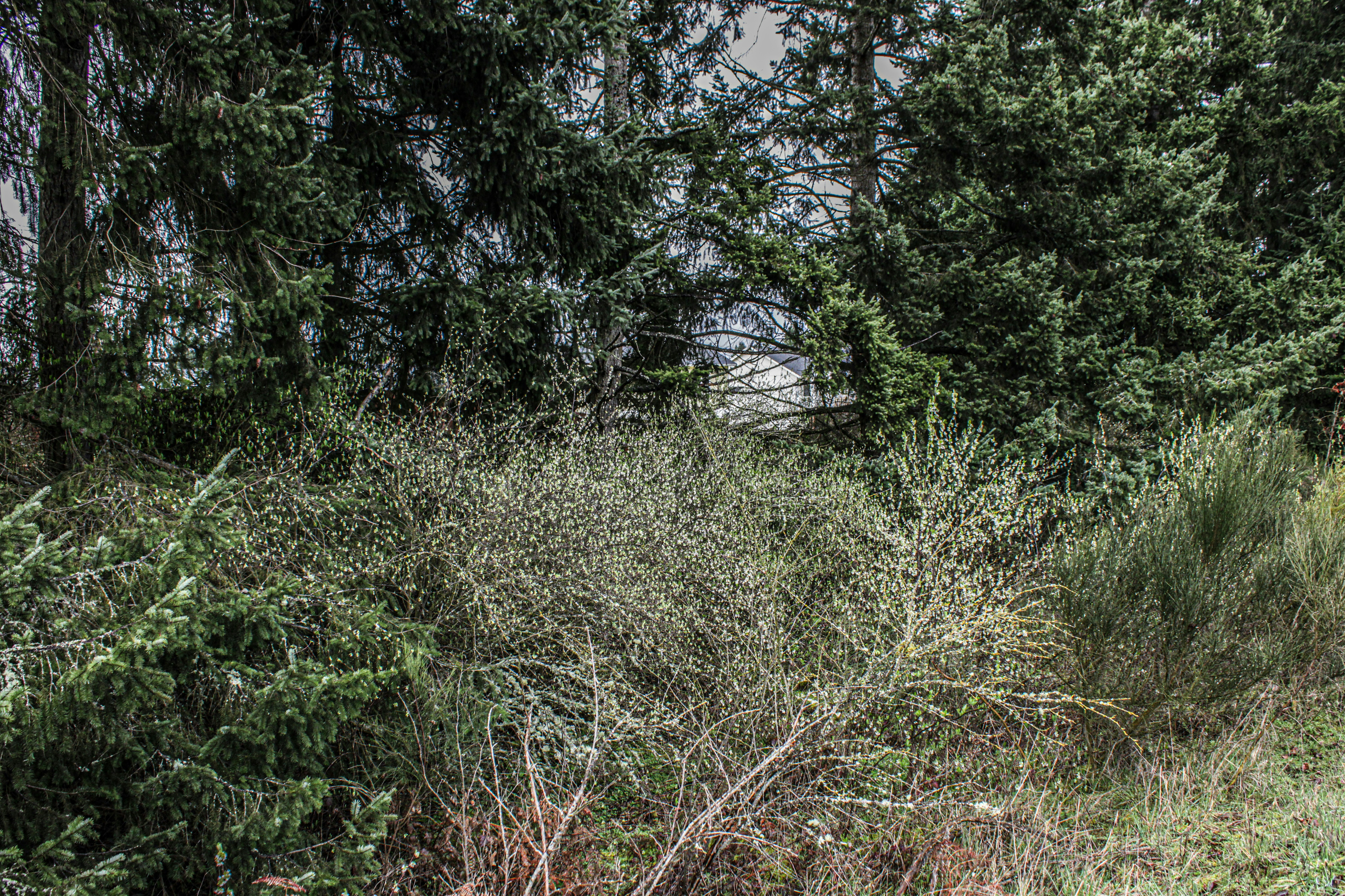 Photo by prphotography262