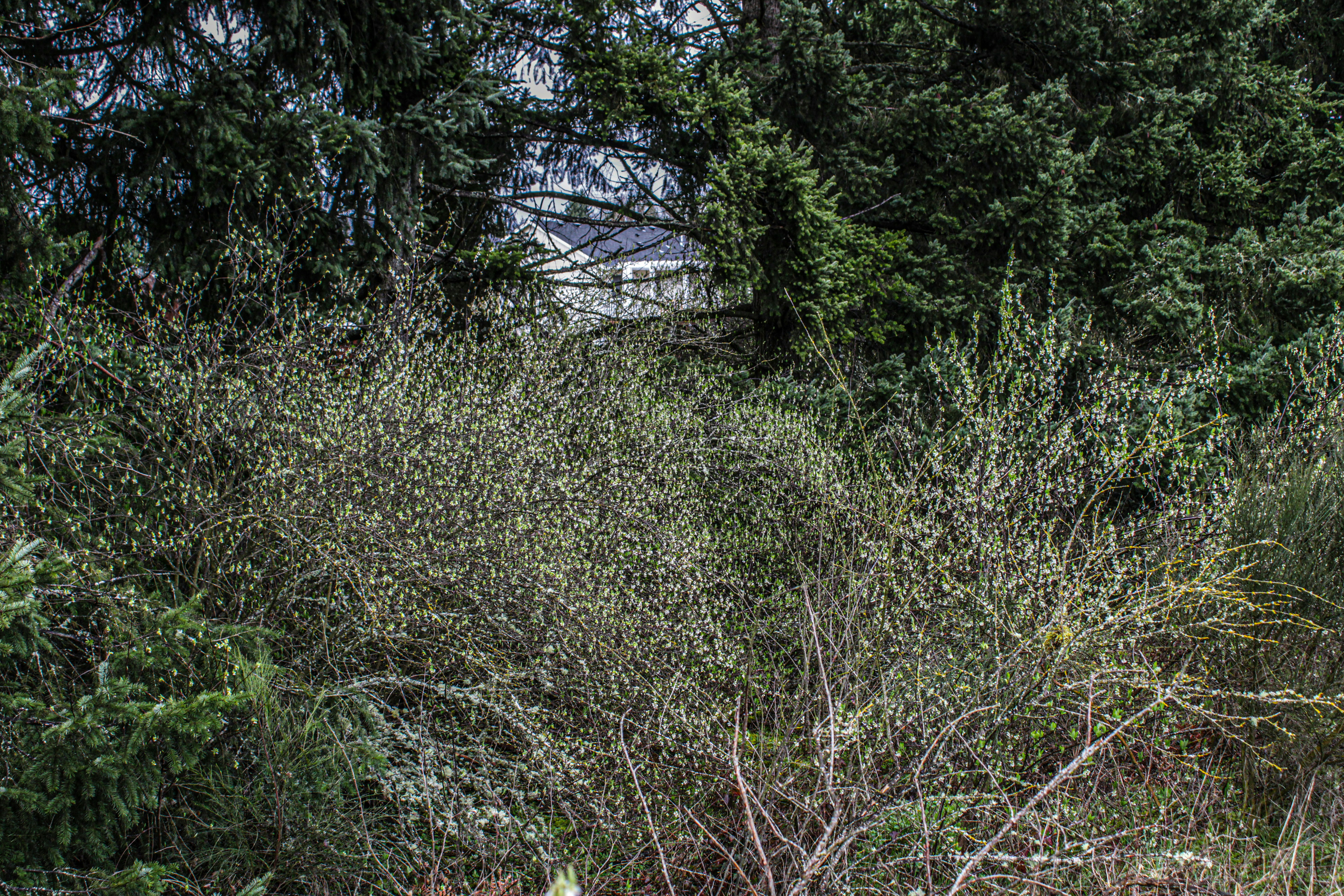 Photo by prphotography262