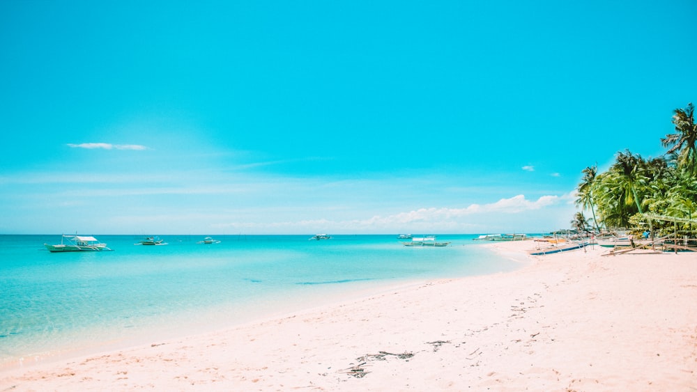 una playa de arena blanca con palmeras y botes en el agua