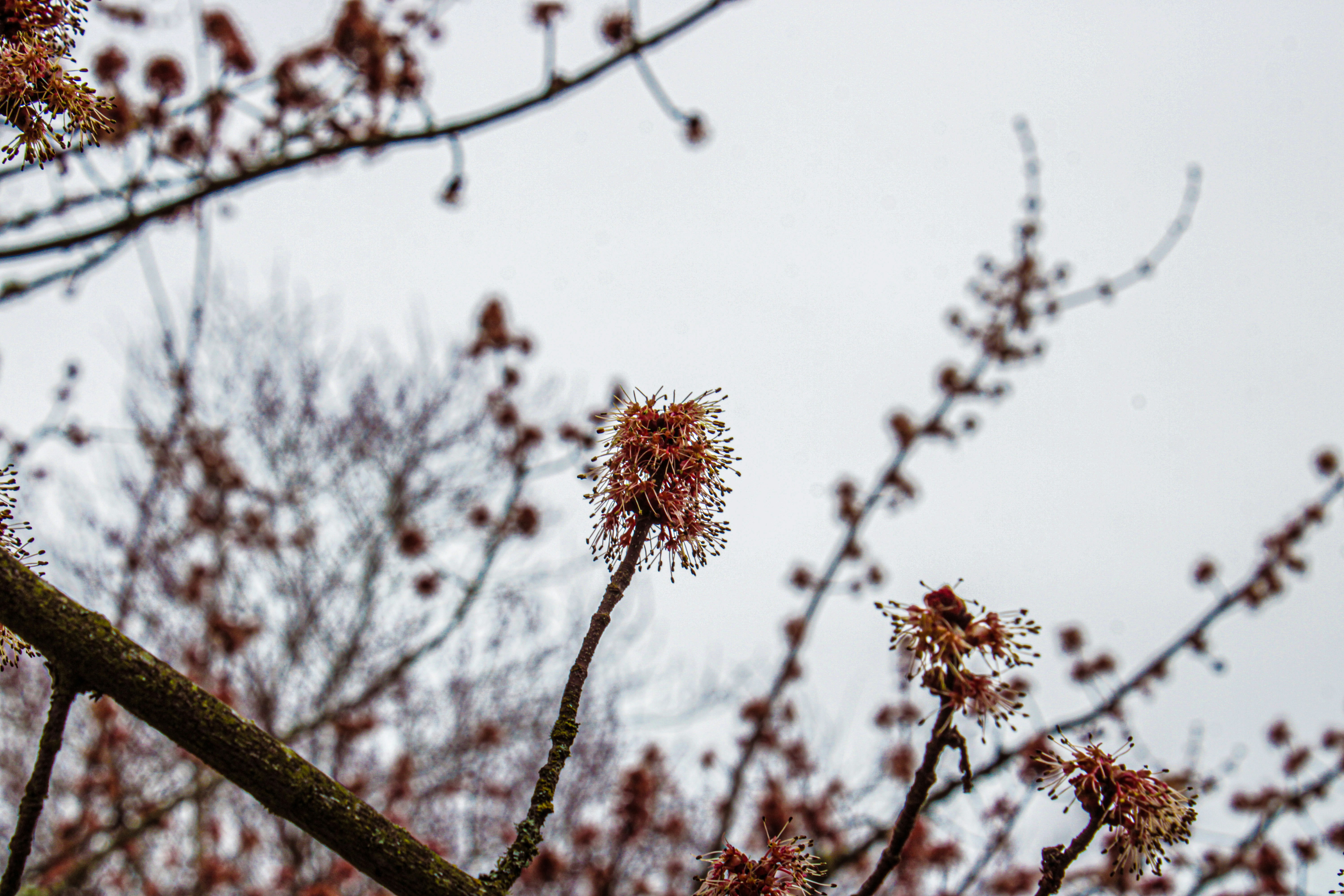 Photo by prphotography262