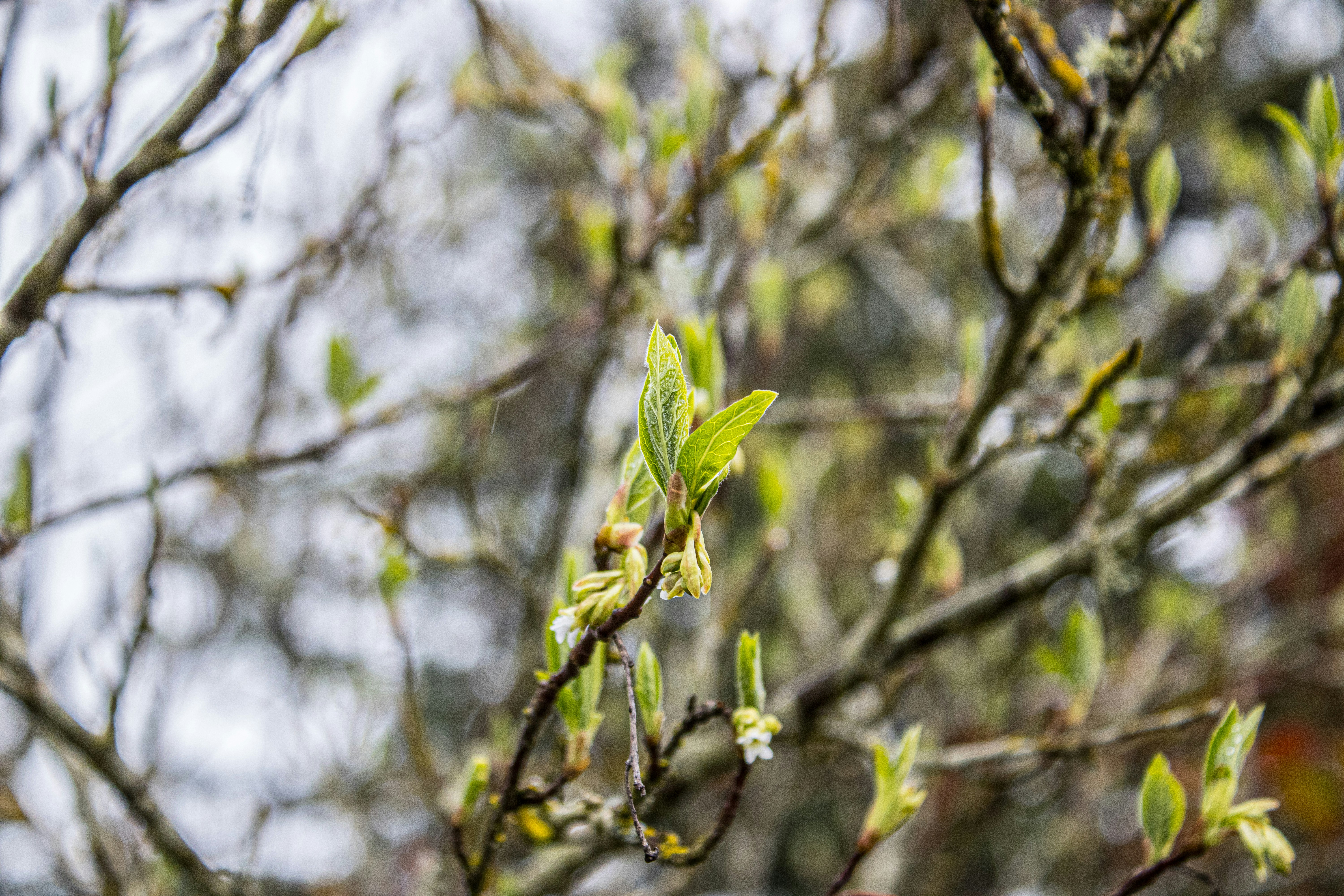 Photo by prphotography262