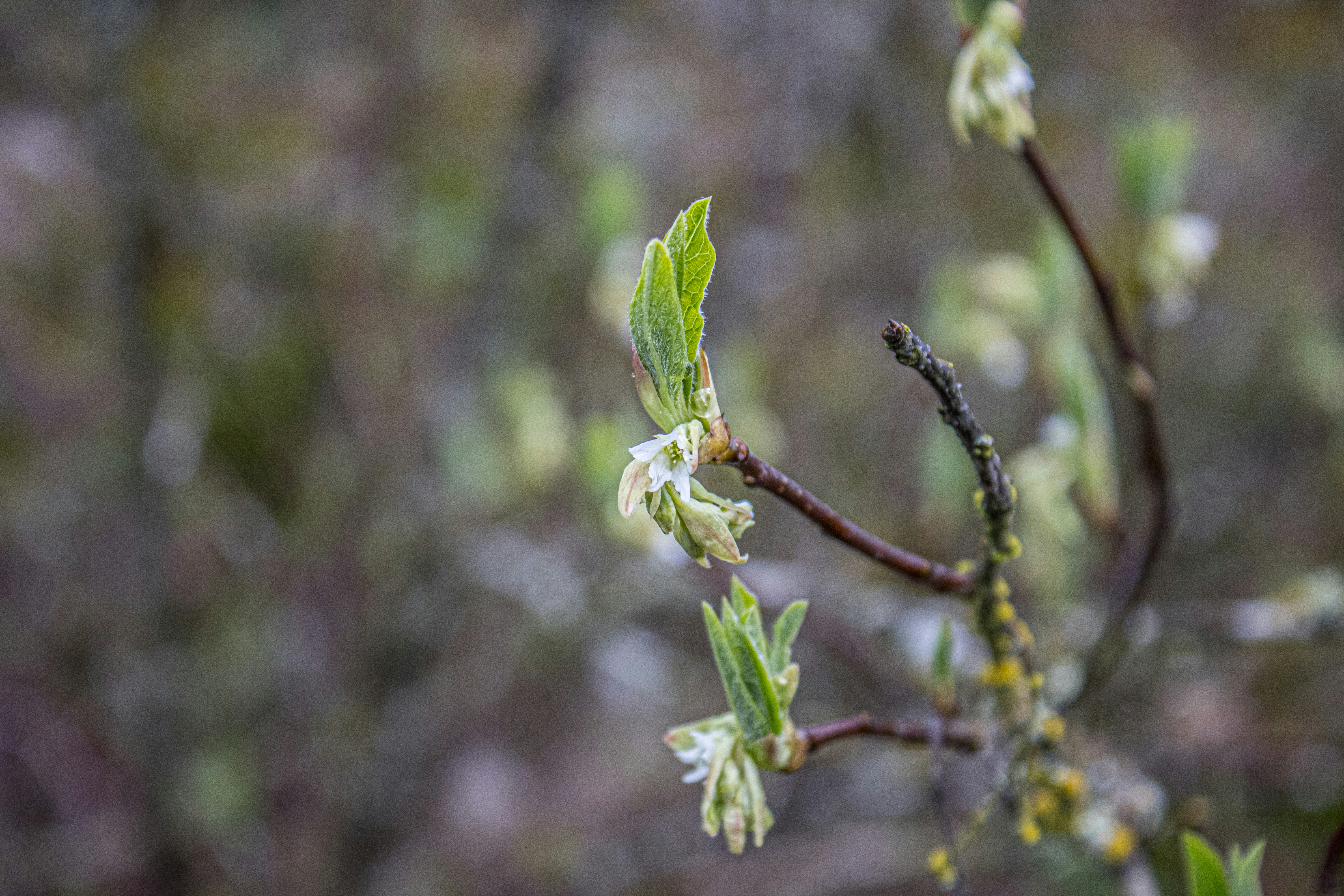 Photo by prphotography262