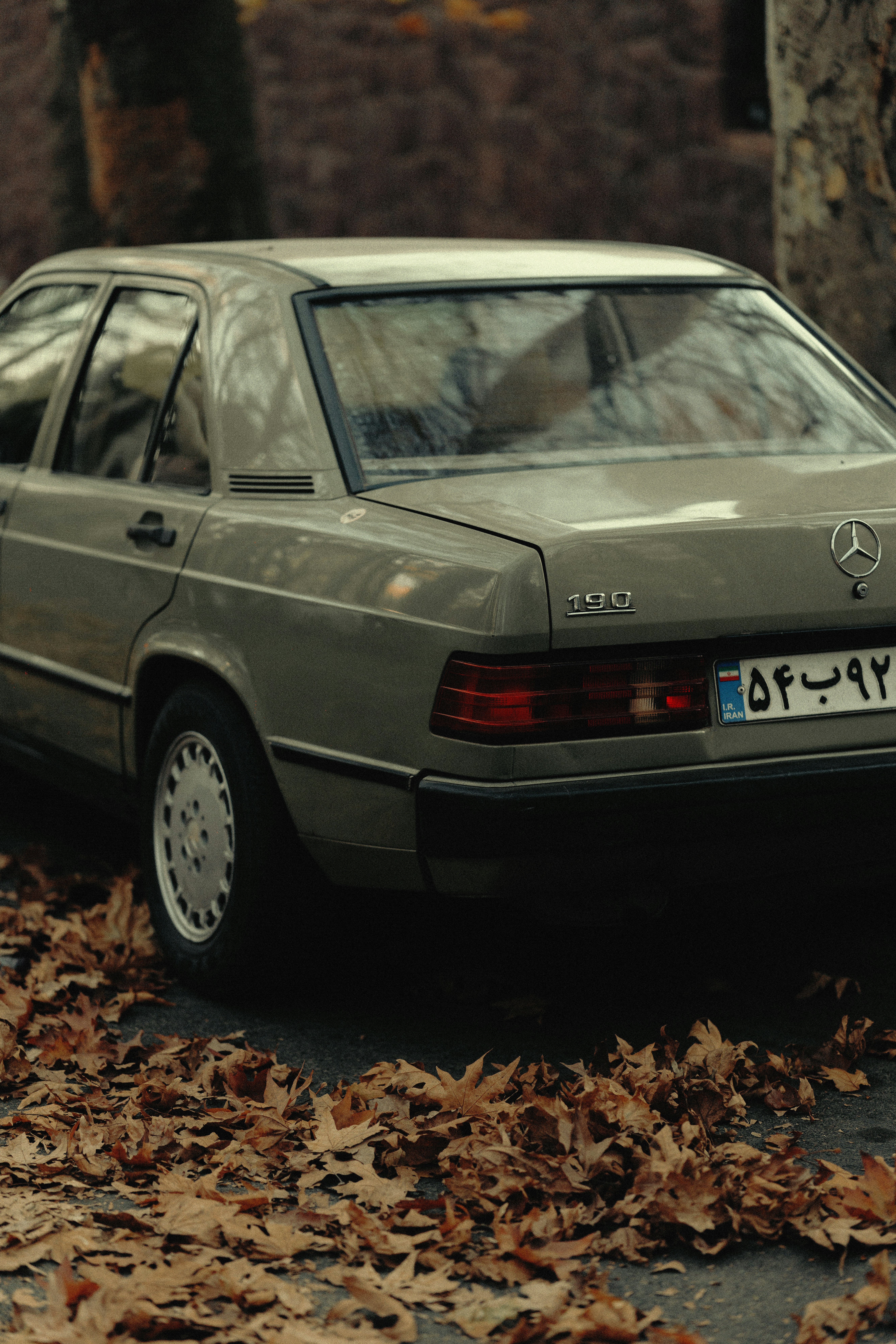 Photo by mohsenamerri