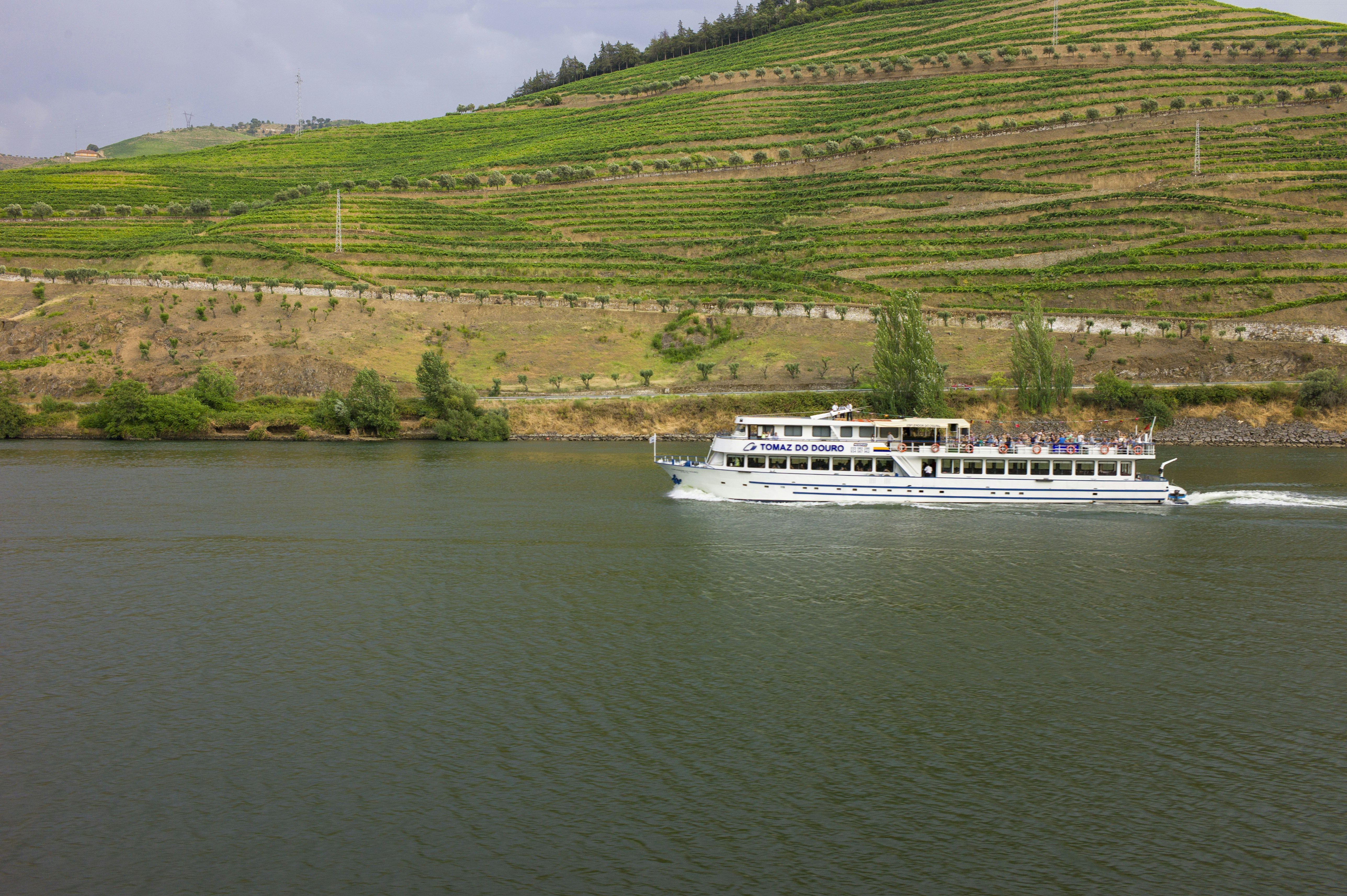 Scenic view of vineyards along the Rhone River during a cruise near Lyon
