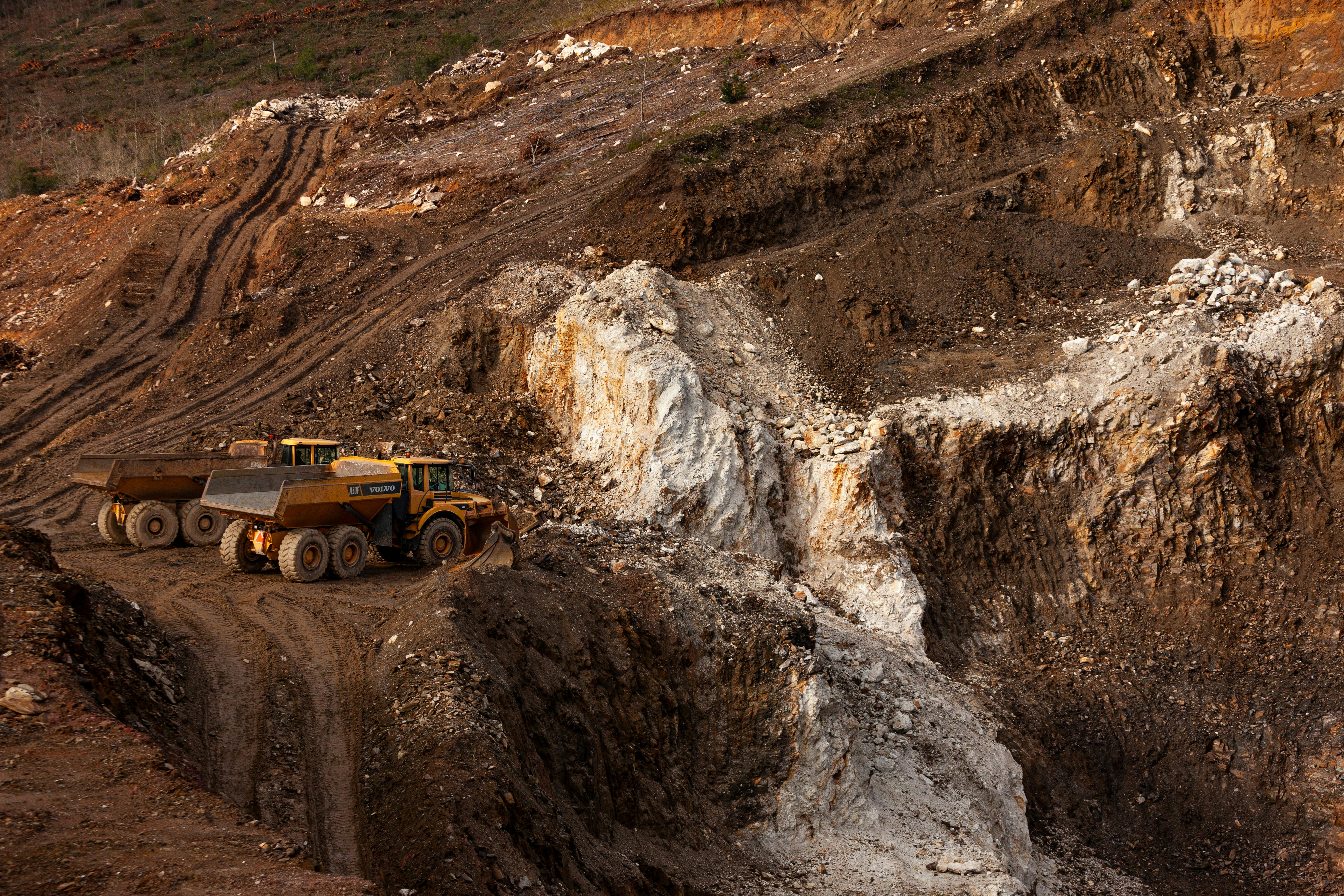 The Chain Reaction: Deforestation And Global Warming
