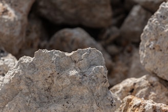 a close up of a rock formation with rocks in the background