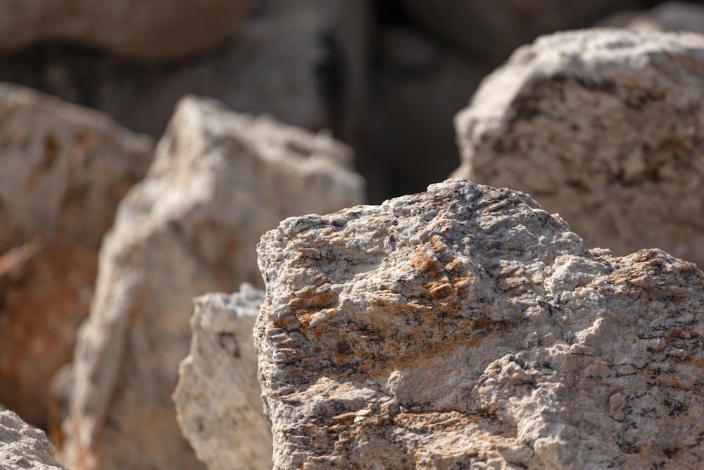 Un primer plano de una roca con un fondo borroso