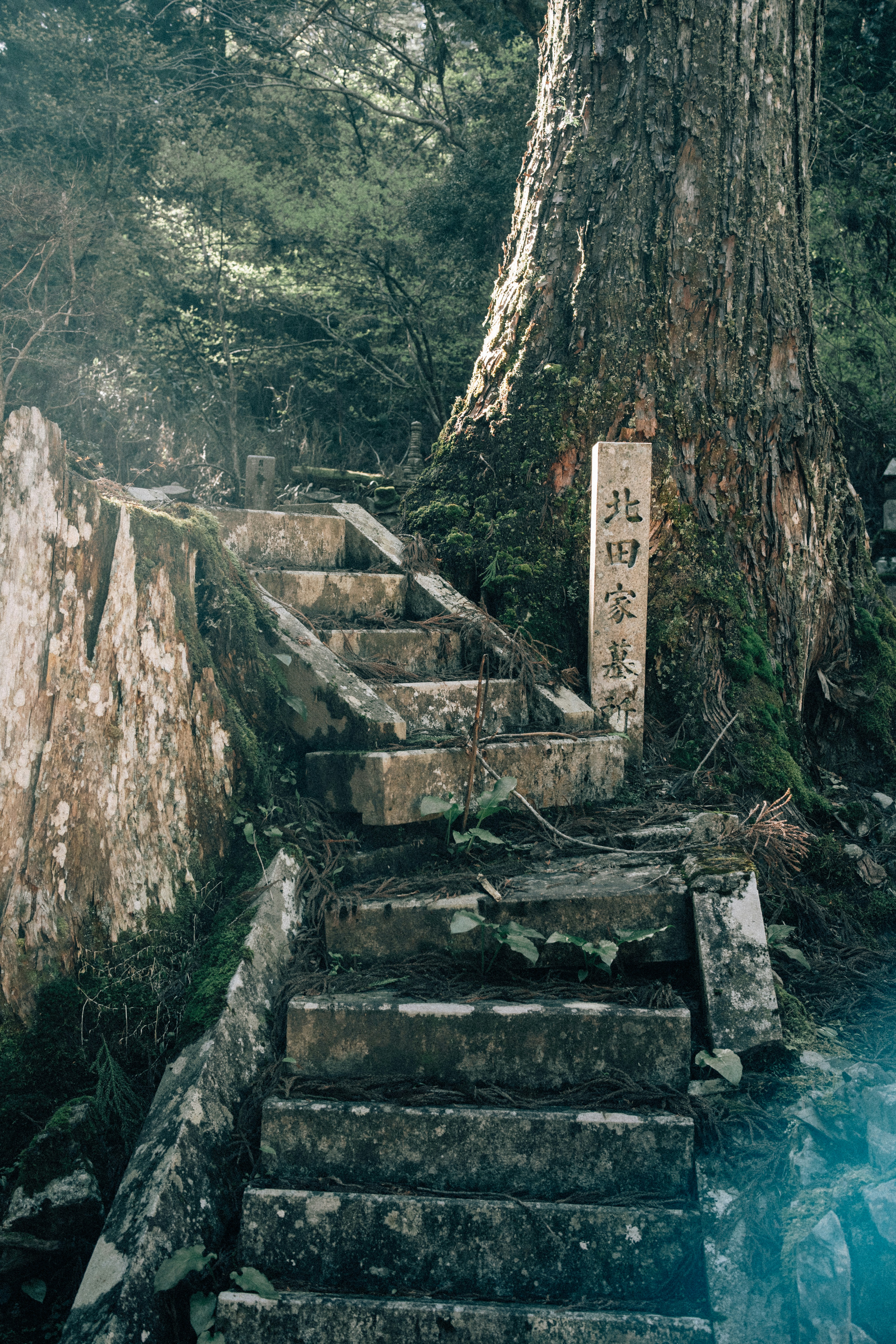 Photo by fabianbaechli