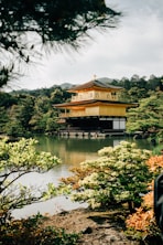a person standing in front of a pond with a pagoda in the background